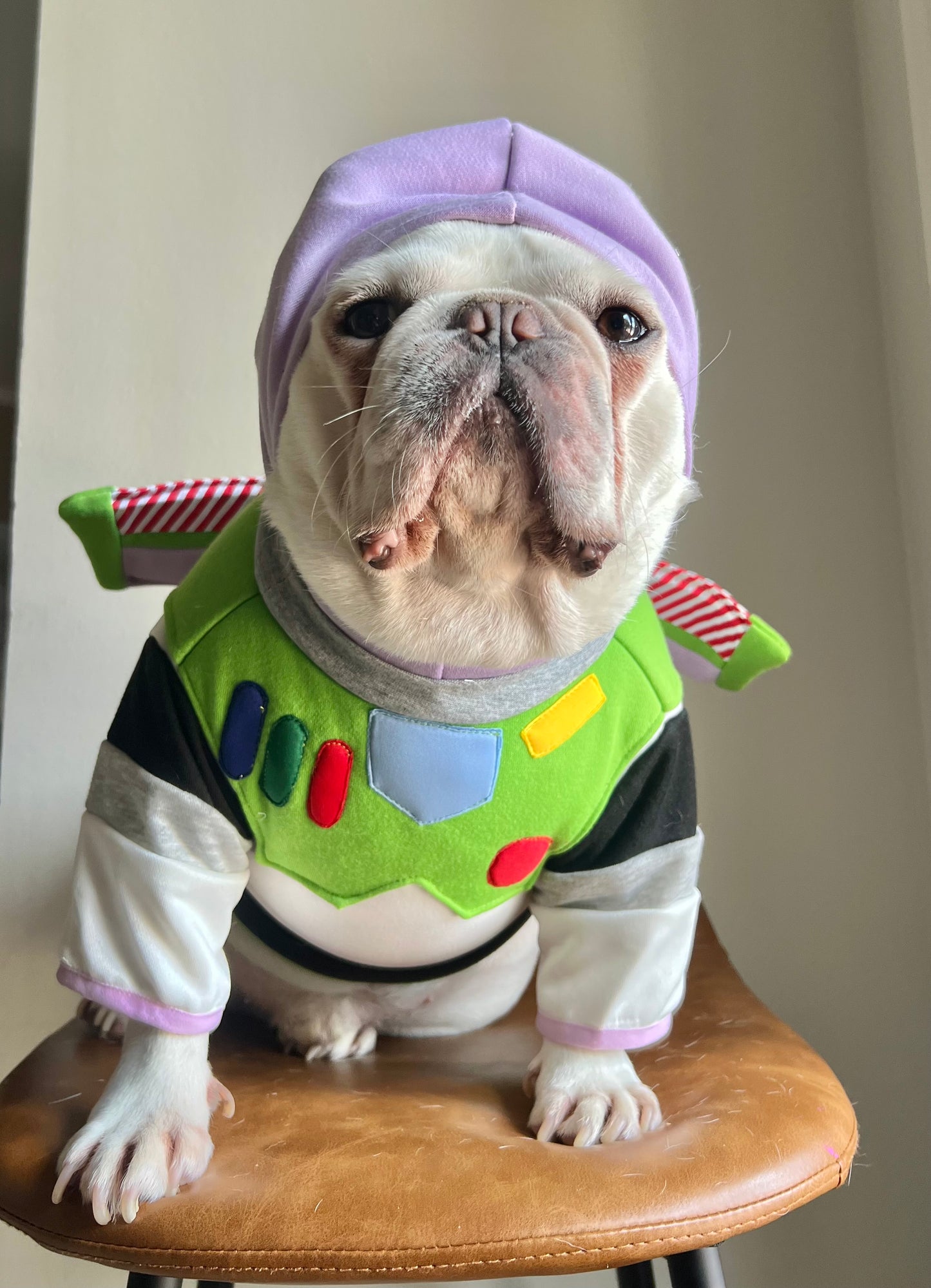 Space Ranger Astronaut Sci-Fi Pet Costume