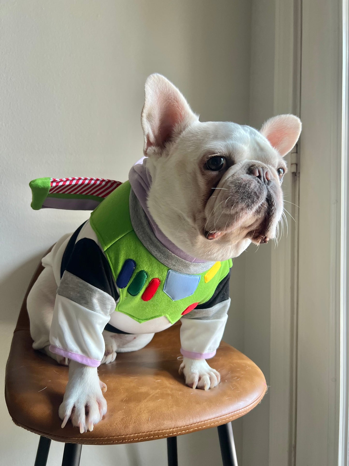 Space Ranger Astronaut Sci-Fi Pet Costume