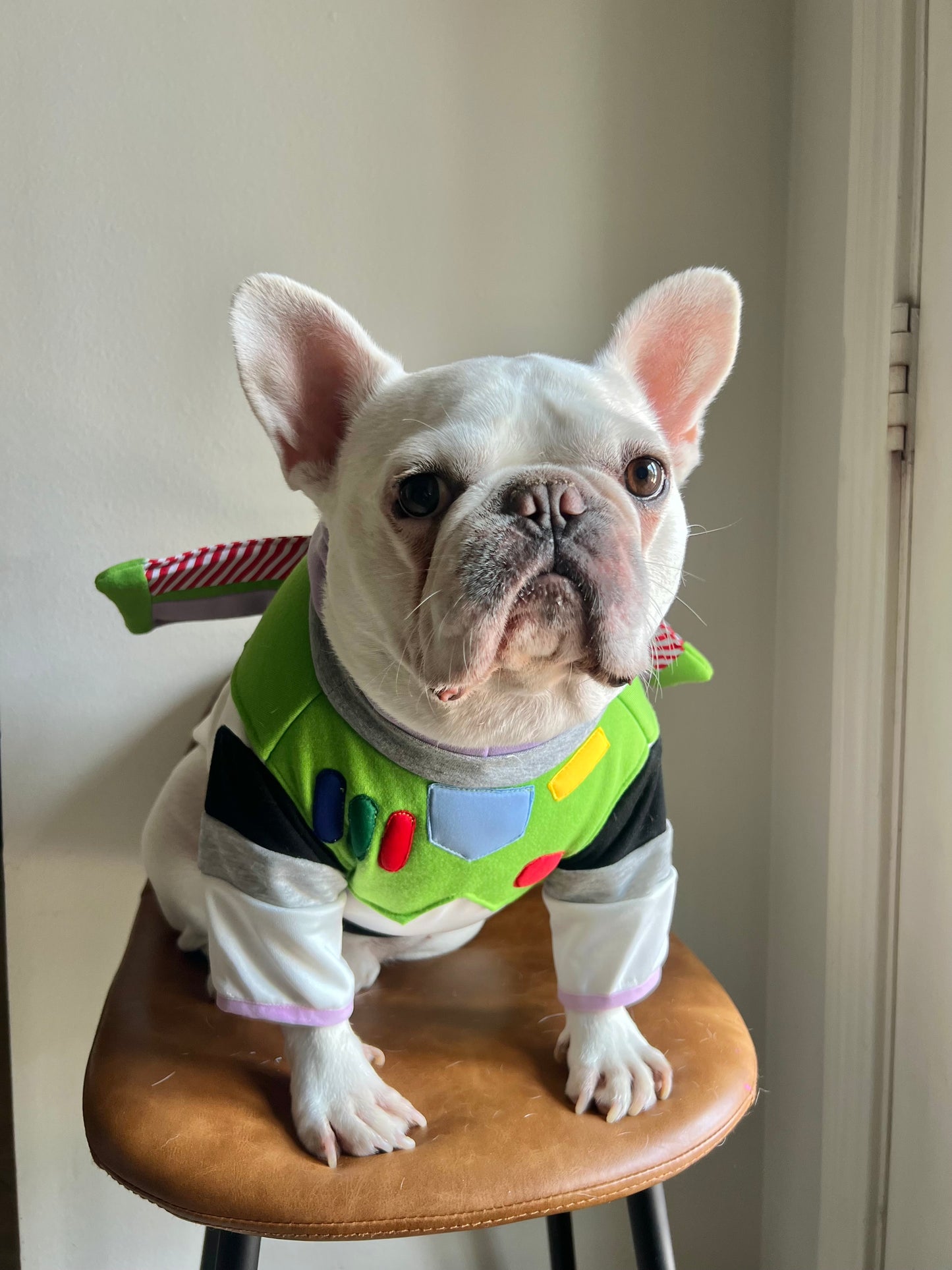 Space Ranger Astronaut Sci-Fi Pet Costume