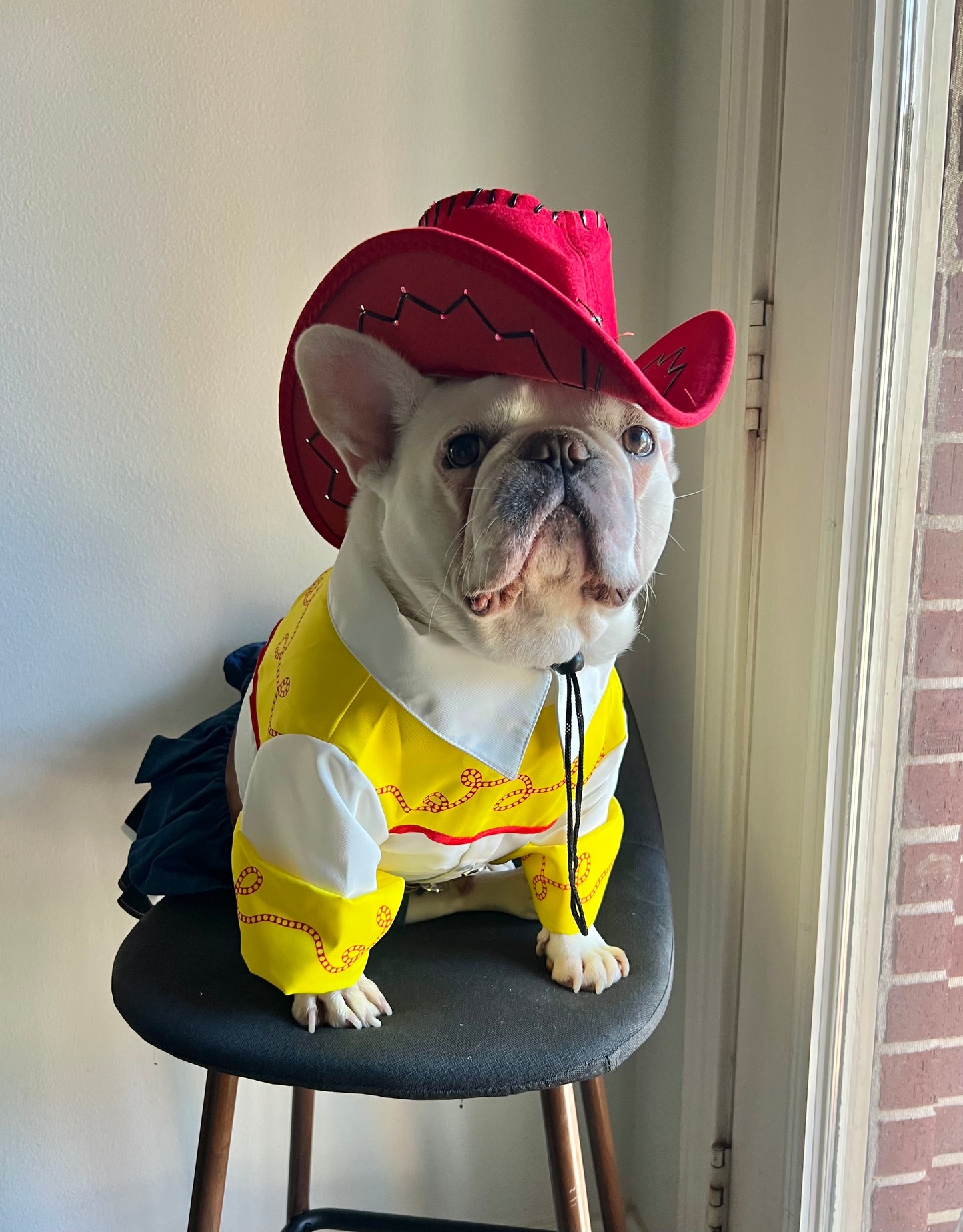 Western Cowgirl Rodeo Pet Costume with Hat