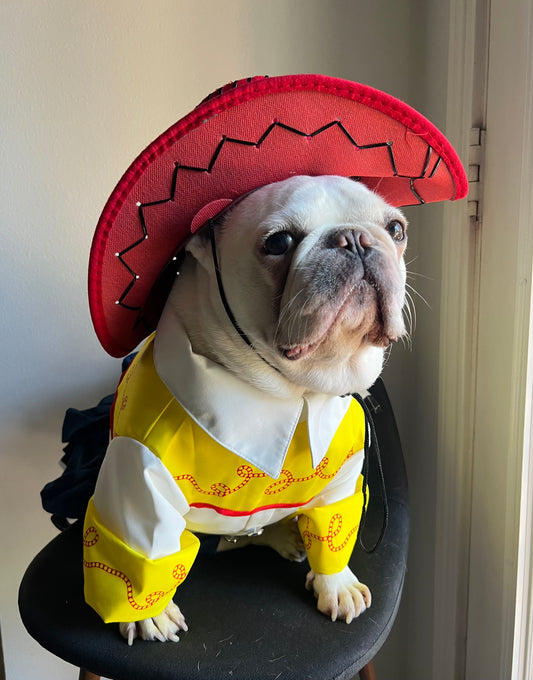 Western Cowgirl Rodeo Pet Costume with Hat