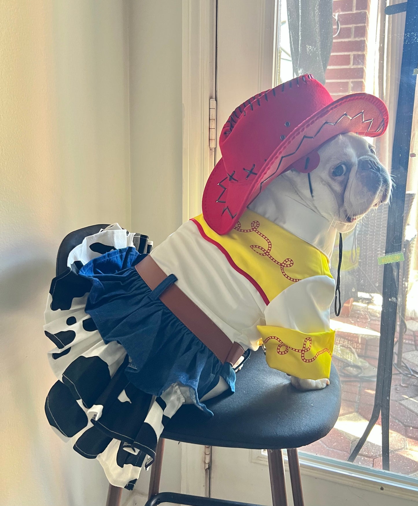 Western Cowgirl Rodeo Pet Costume with Hat