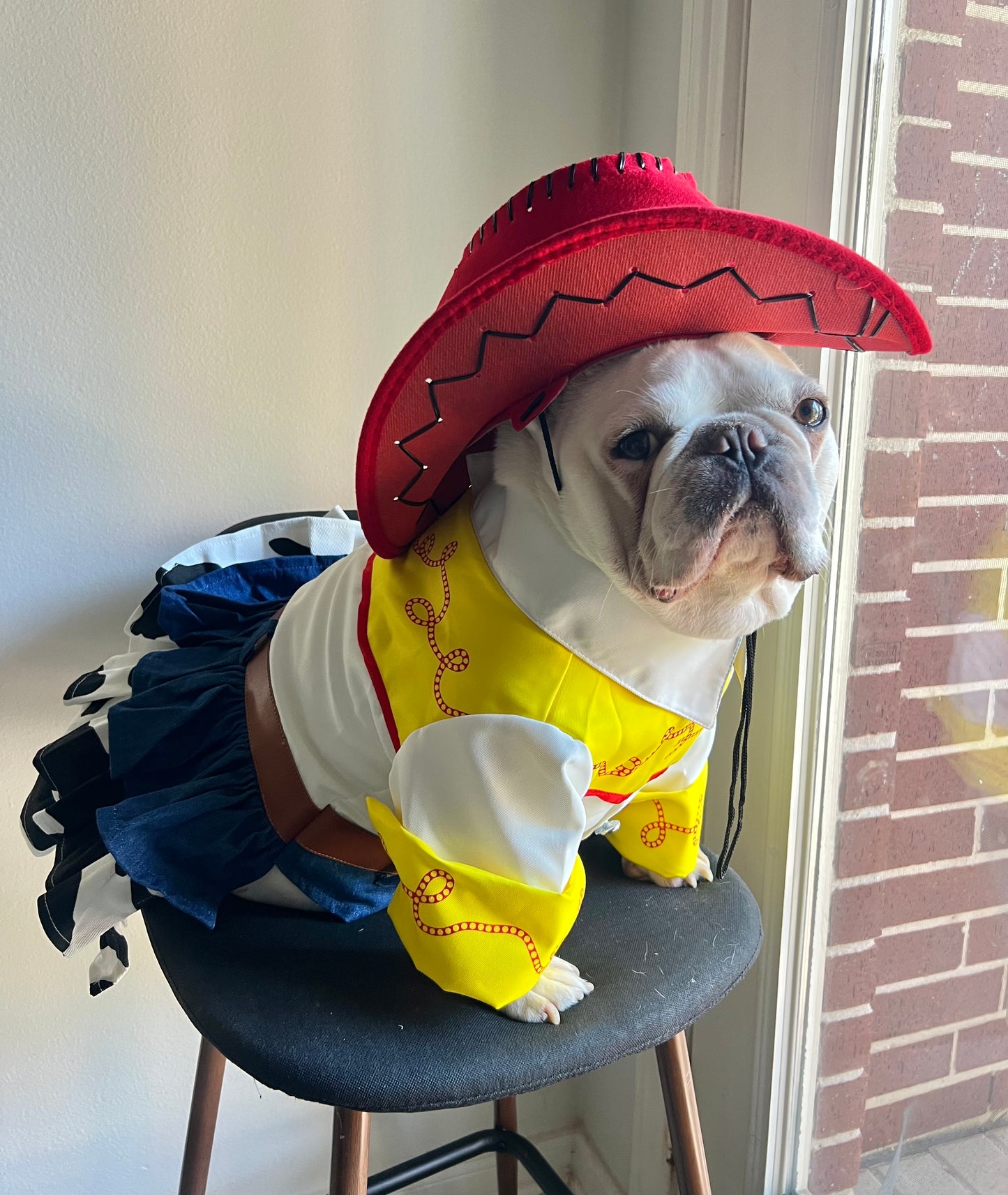 Western Cowgirl Rodeo Pet Costume with Hat