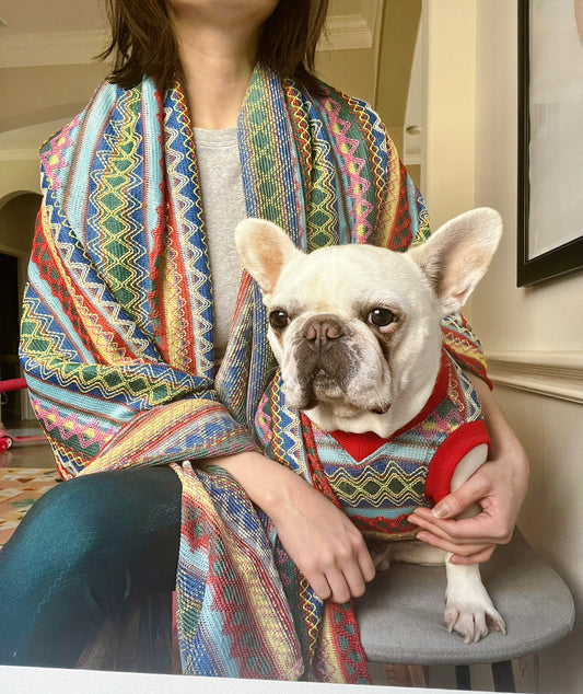 Pet and Owner Matching Shawl and Cloth