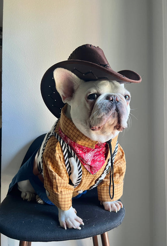 Western Cowboy Rodeo Pet Costume with Hat