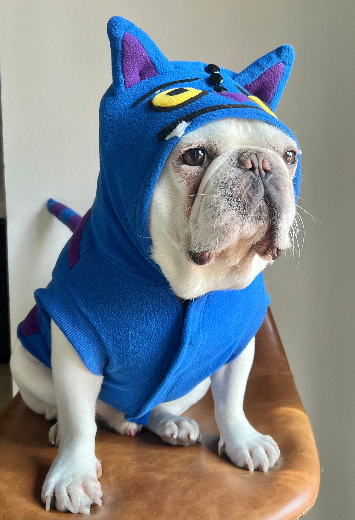 Cheshire Cat Derpy Tiger Huntrix Pet Costume
