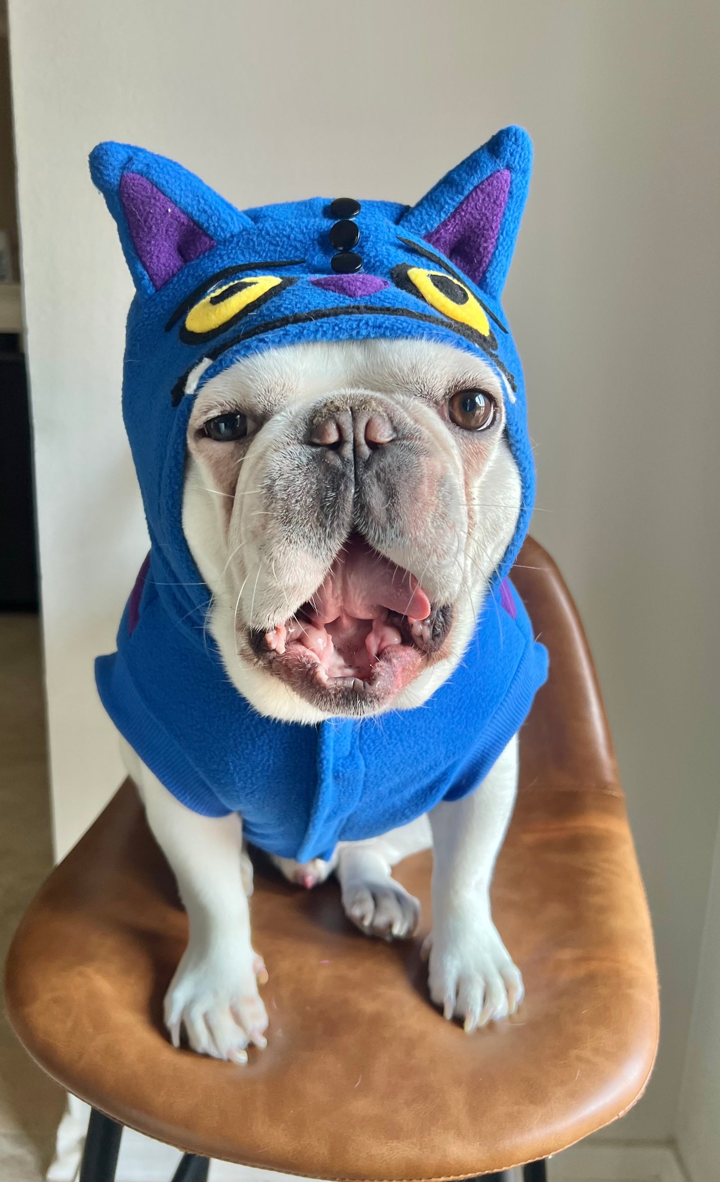 Cheshire Cat Derpy Tiger Huntrix Pet Costume