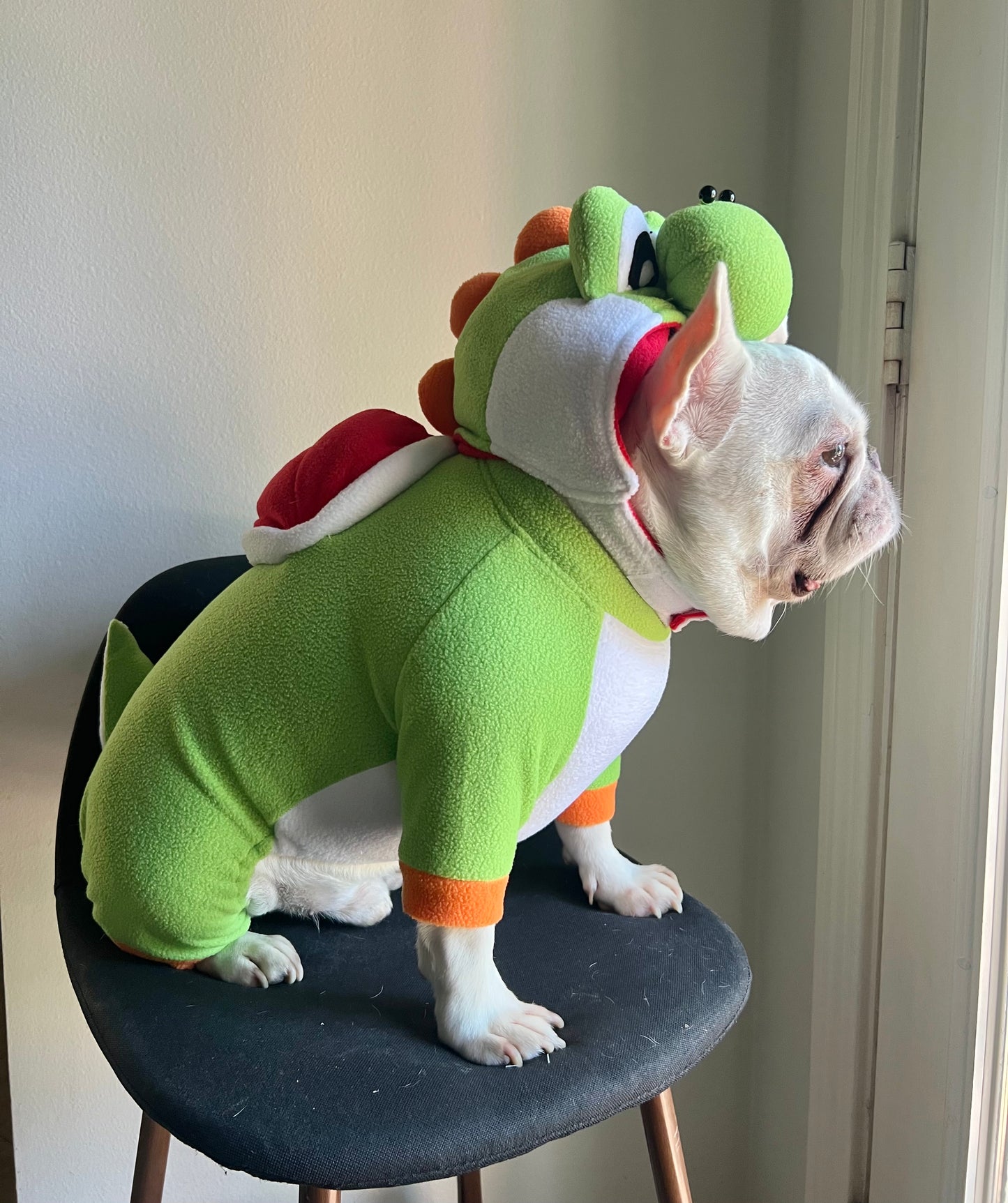 Super Dragon Pet Halloween Outfit Turtle Cosplay Costume