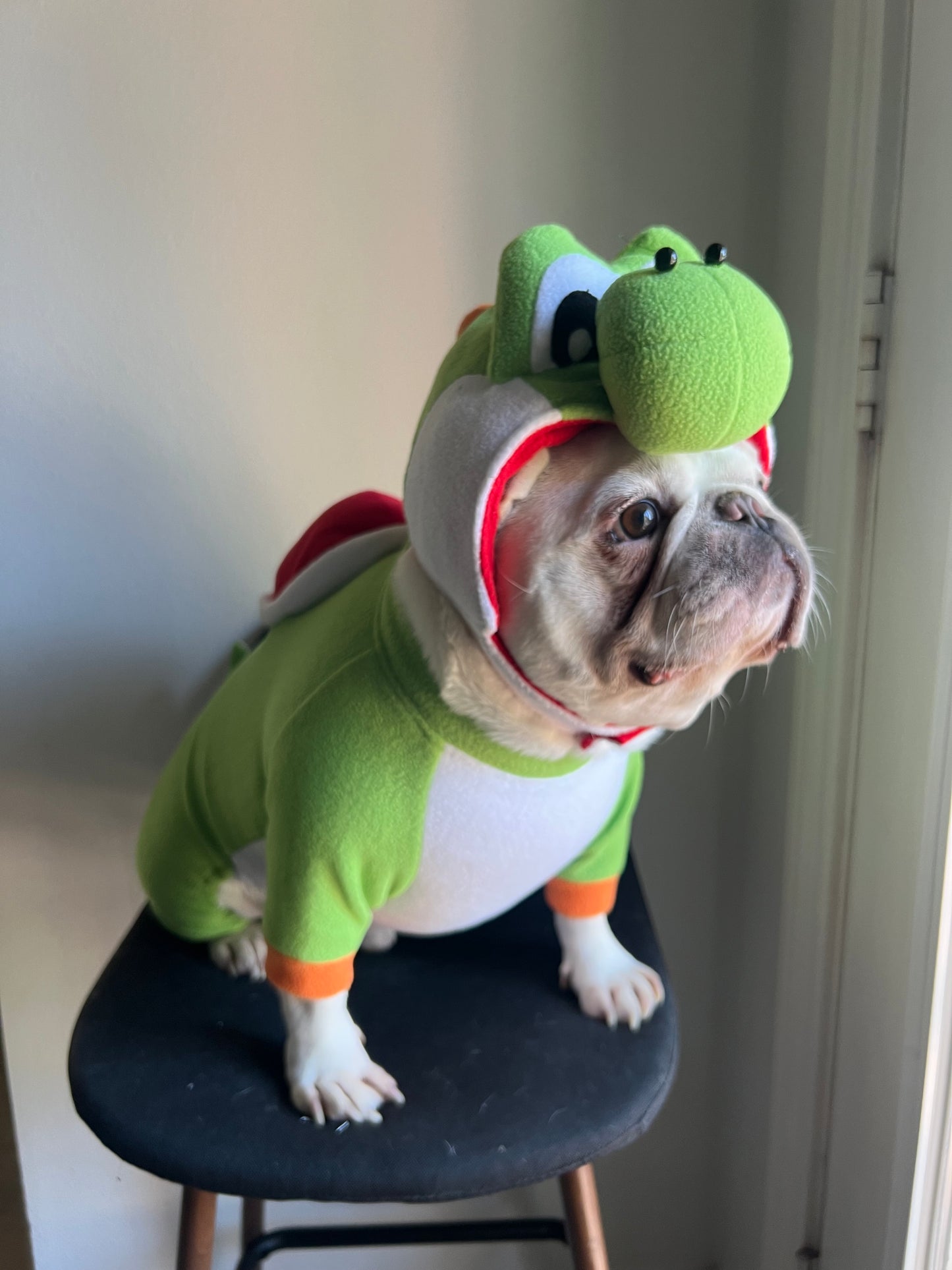 Super Dragon Pet Halloween Outfit Turtle Cosplay Costume