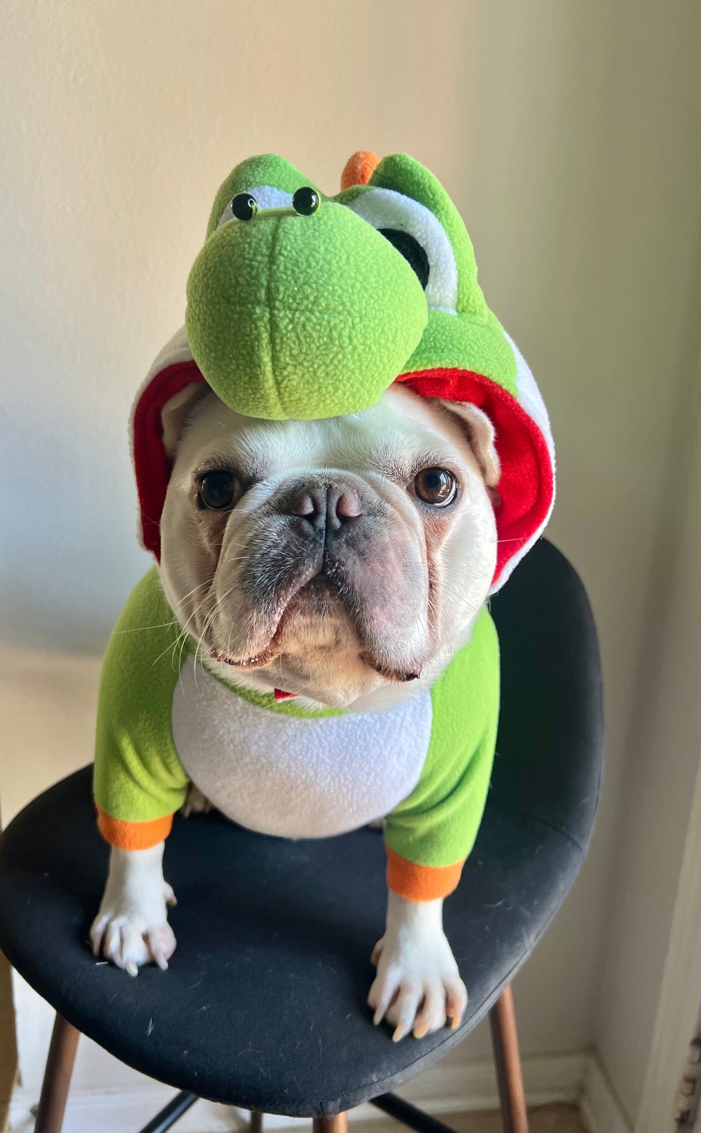 Super Dragon Pet Halloween Outfit Turtle Cosplay Costume