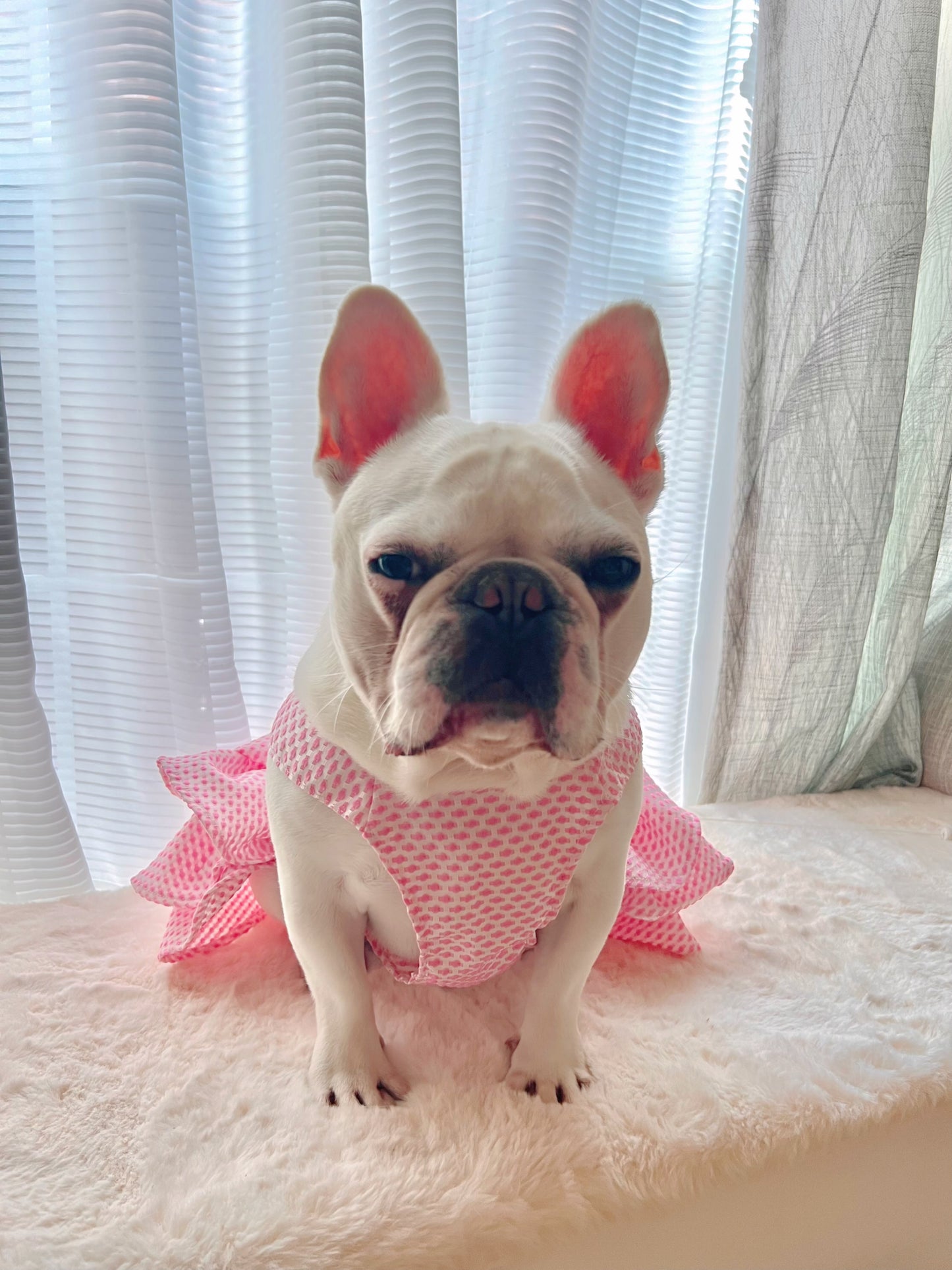 Pink Tutu Dress