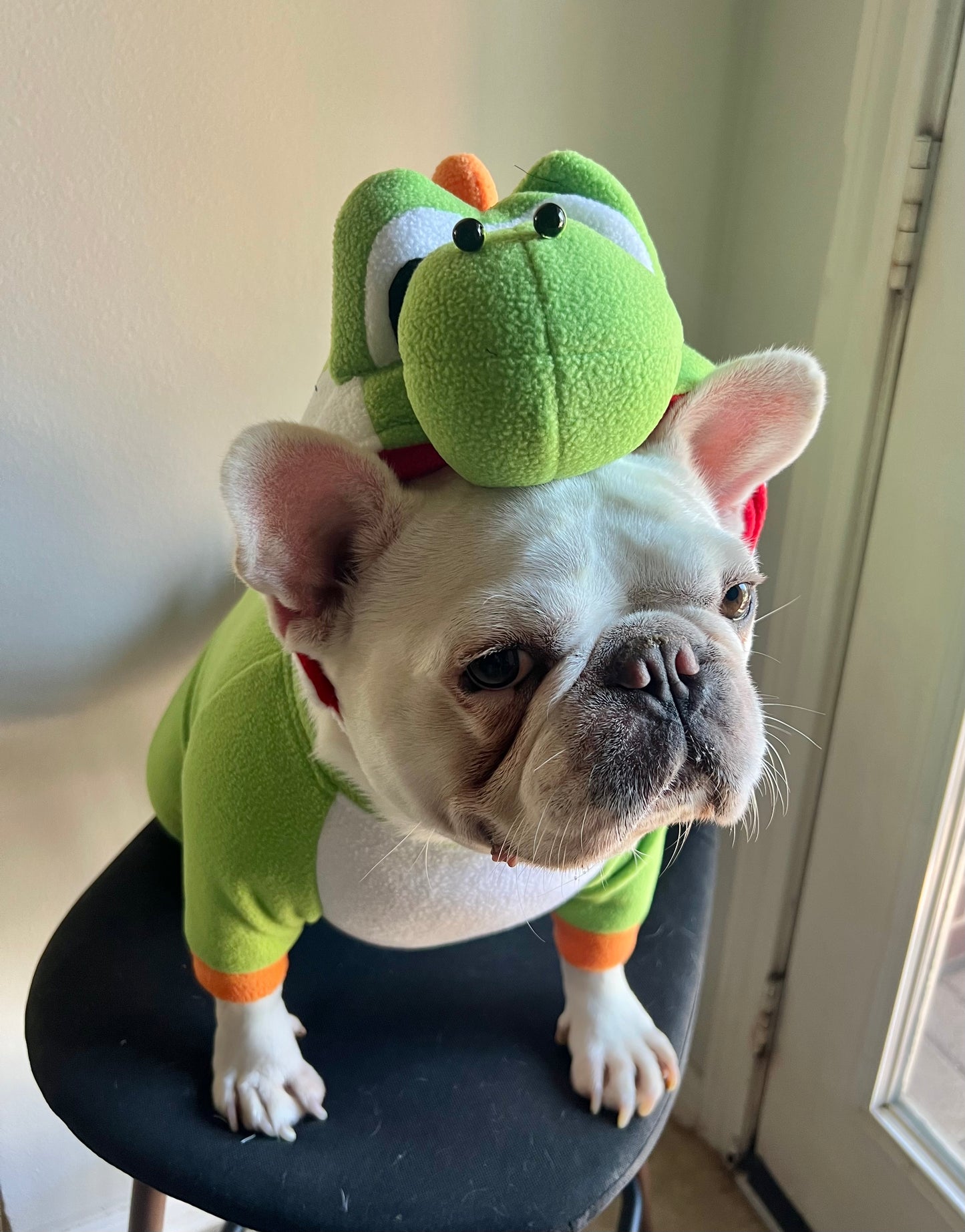 Super Dragon Pet Halloween Outfit Turtle Cosplay Costume