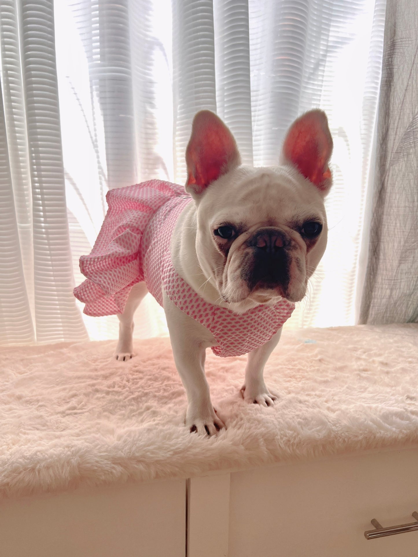 Pink Tutu Dress