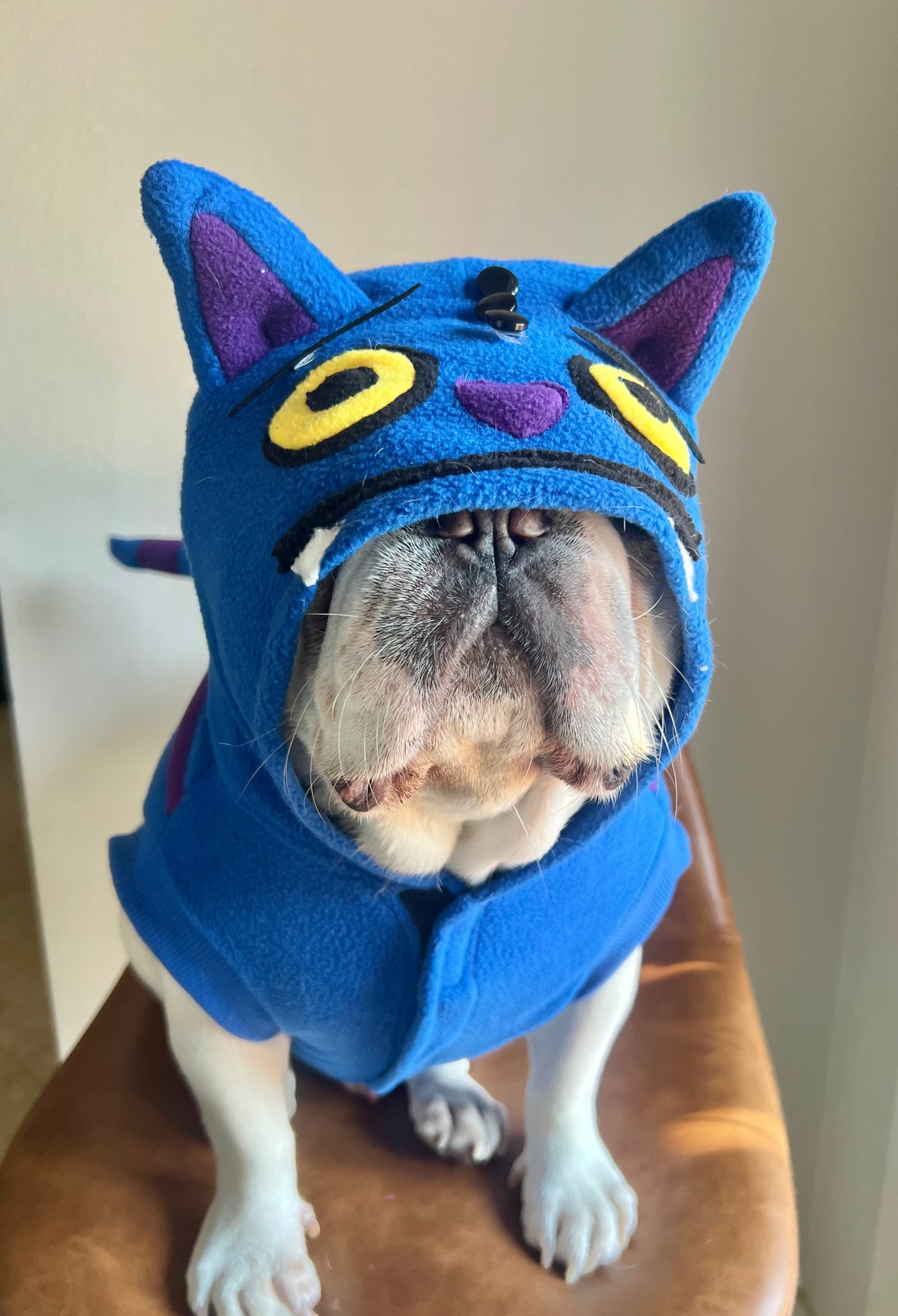Cheshire Cat Derpy Tiger Huntrix Pet Costume
