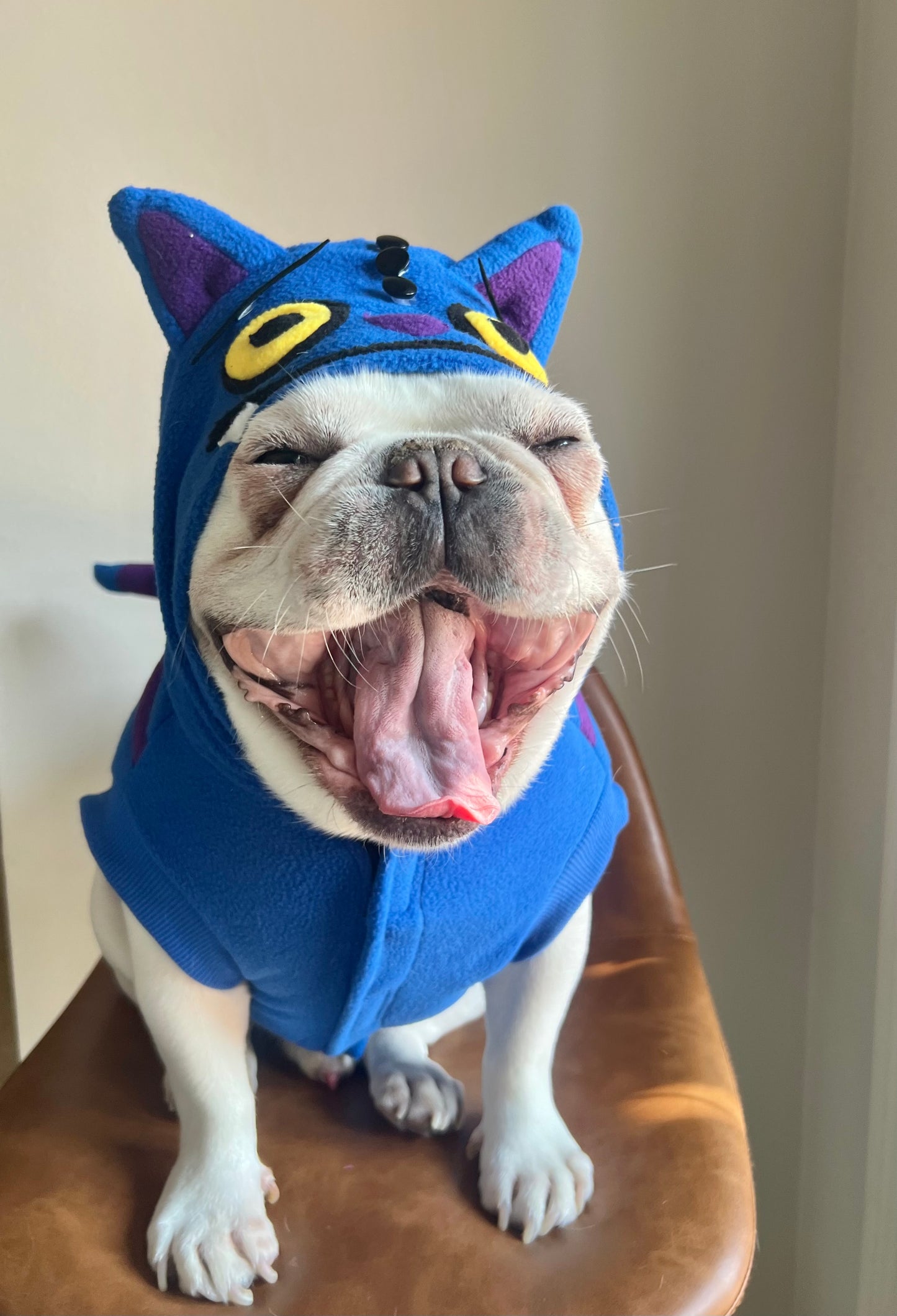 Cheshire Cat Derpy Tiger Huntrix Pet Costume