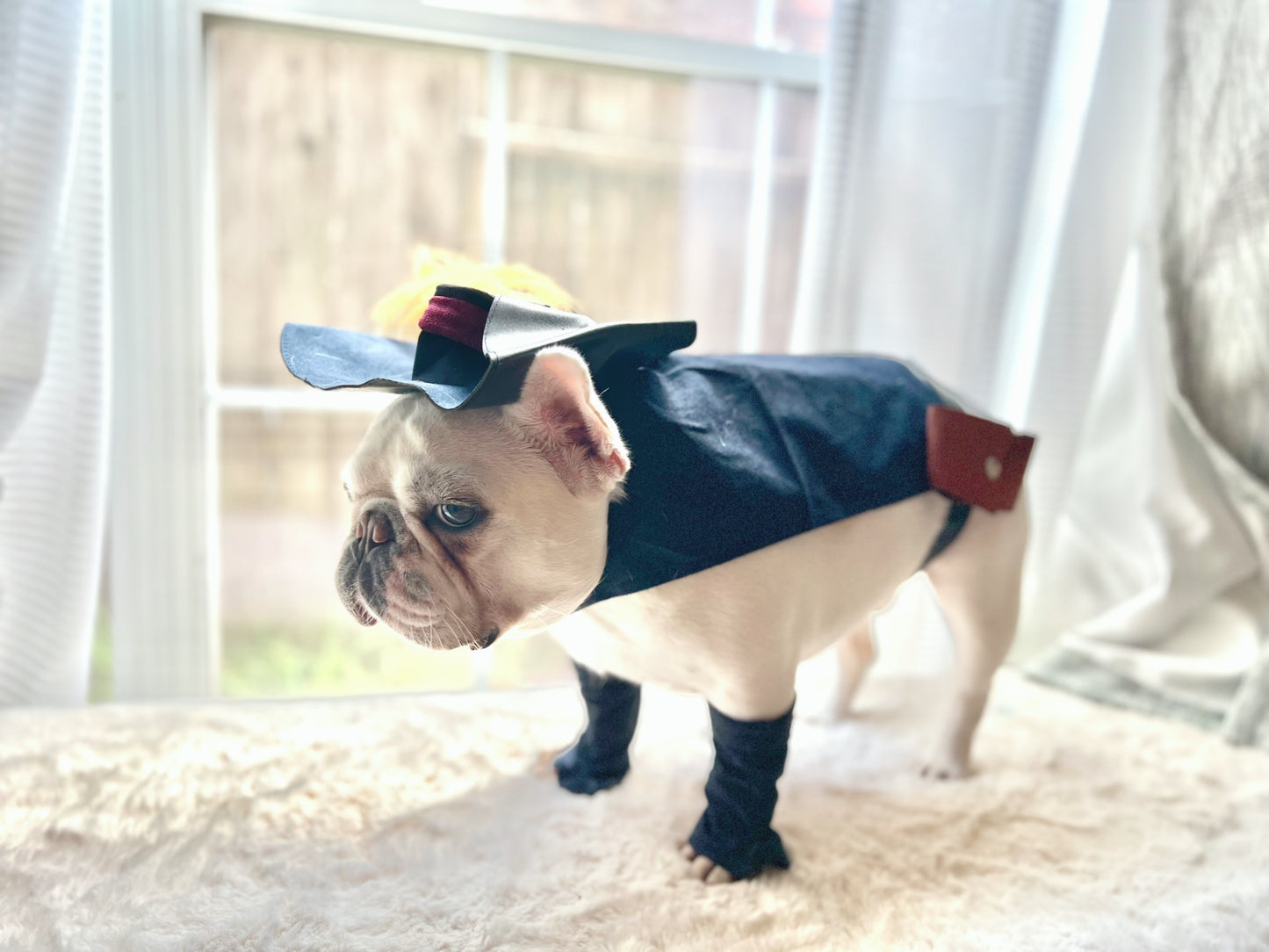 Puss In Boots Pet Costume