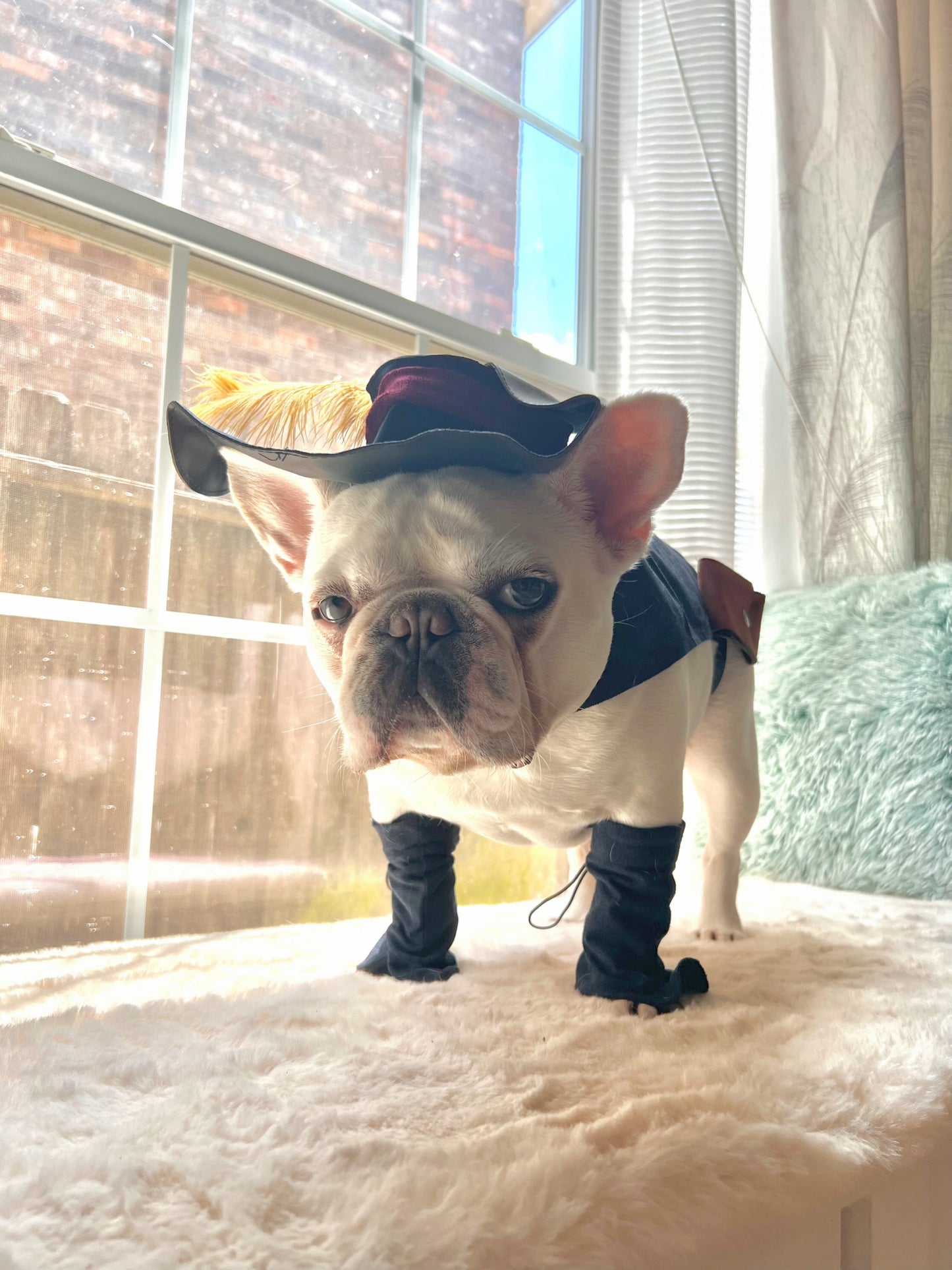 Puss In Boots Pet Costume