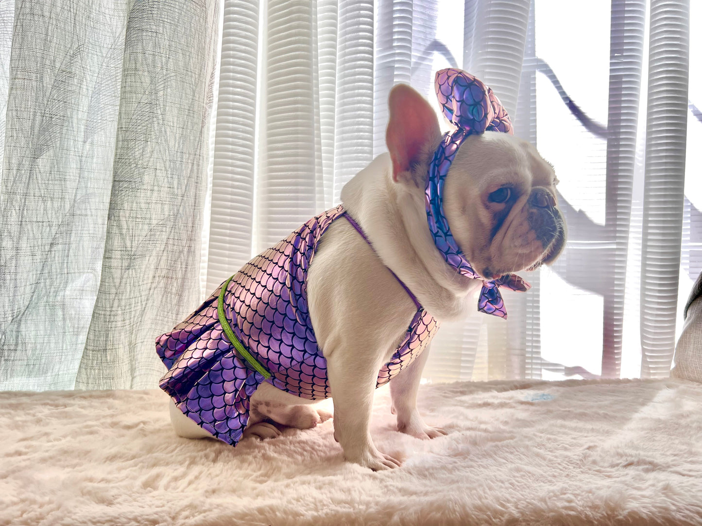 Iridescence Mermaid Pet Costume