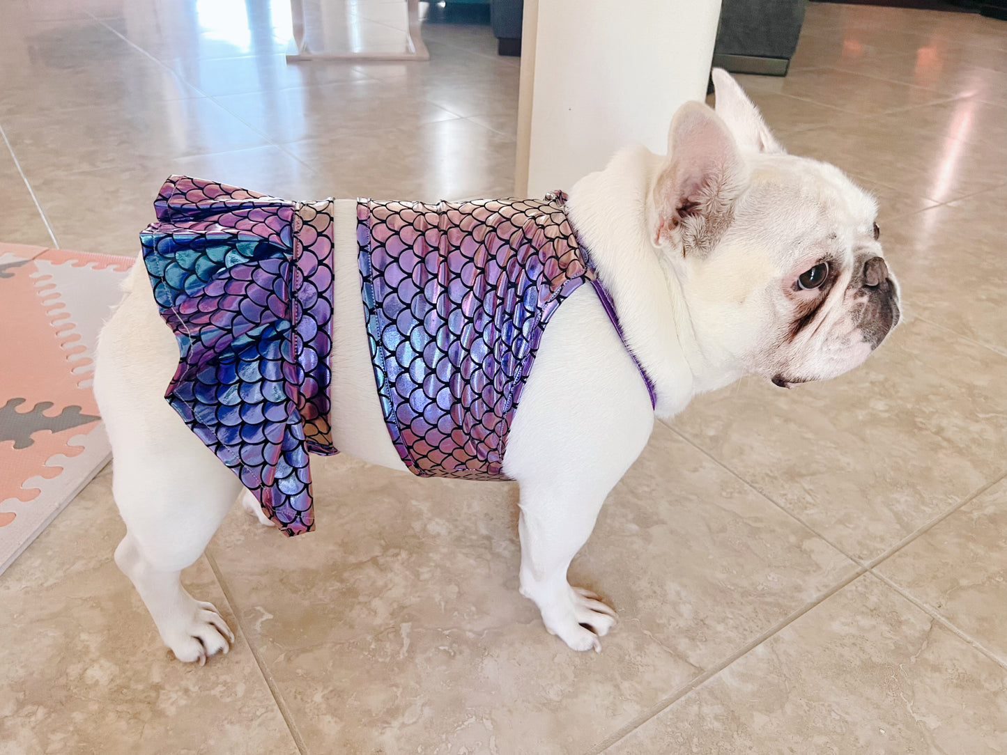 Bikini Mermaid Pet Costume