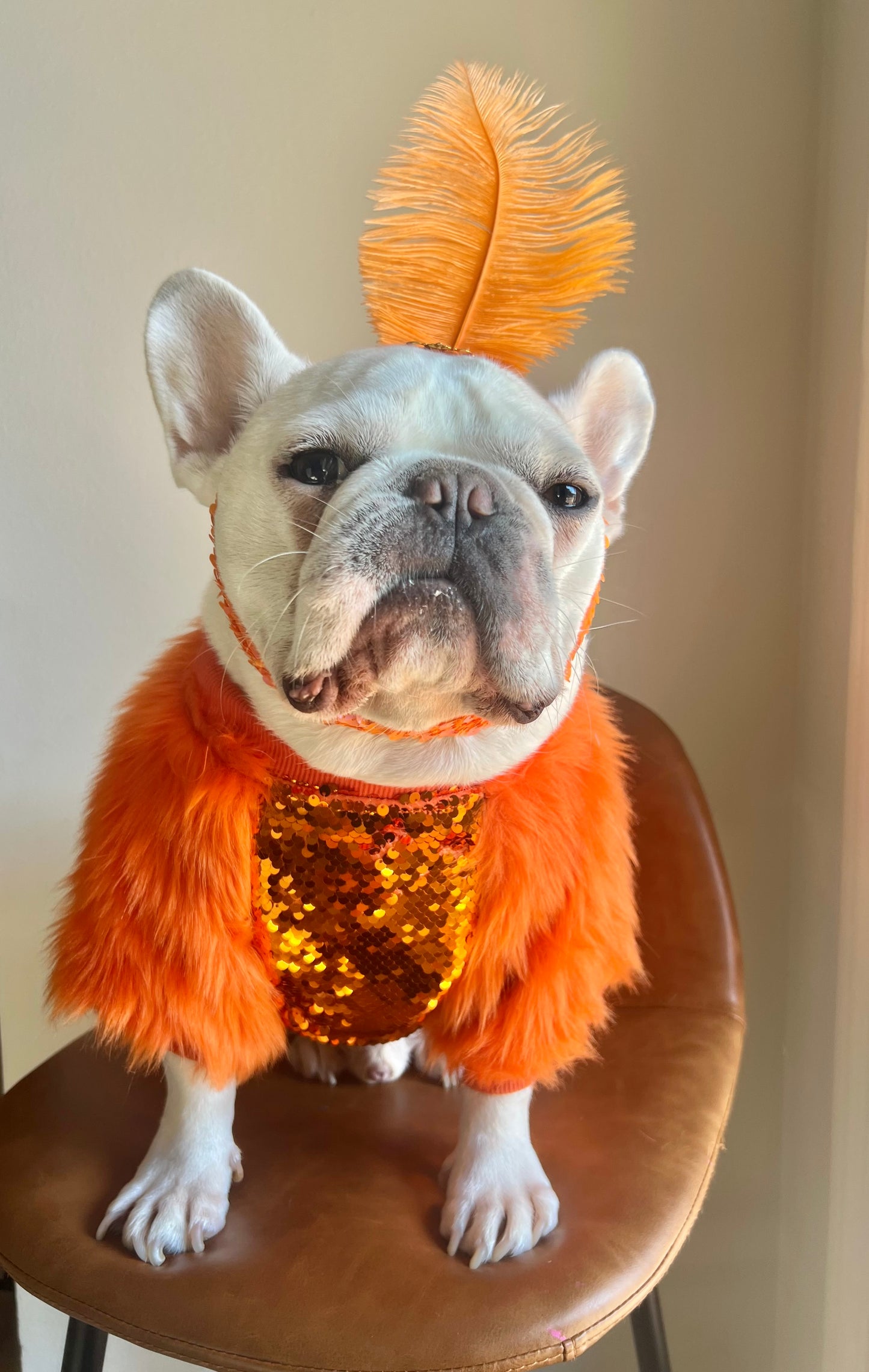 Life of Showgirl Orange Faux Fur Glamour Sequin Sweater