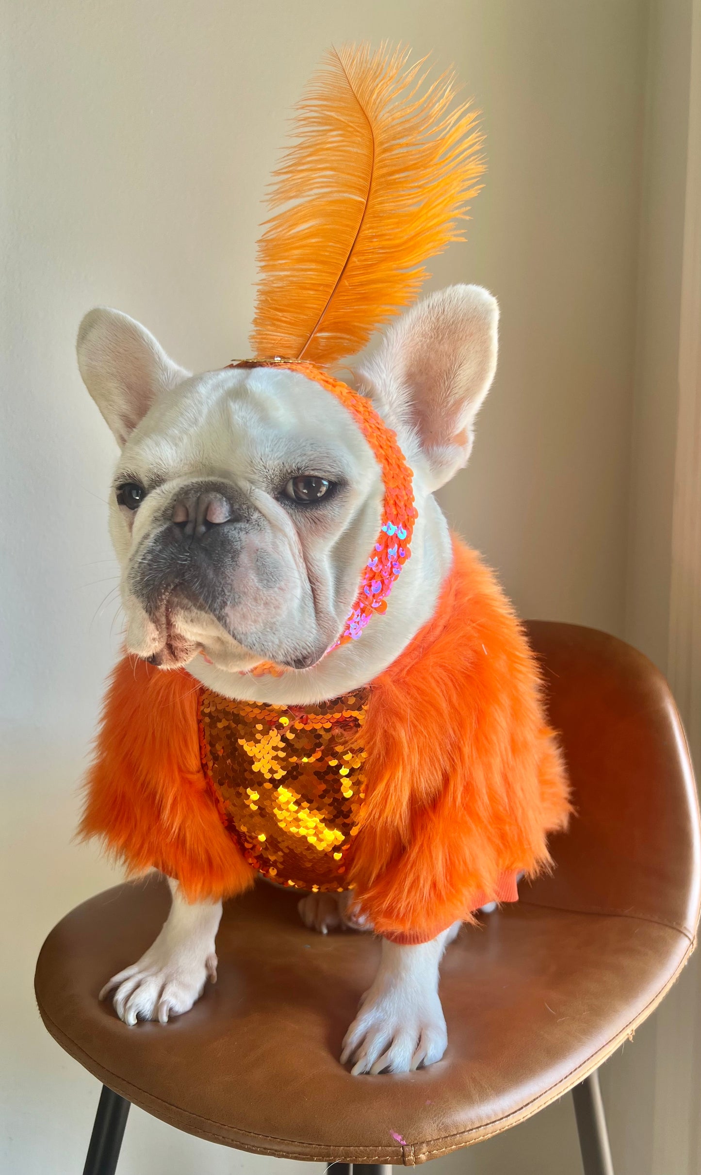 Life of Showgirl Orange Faux Fur Glamour Sequin Sweater