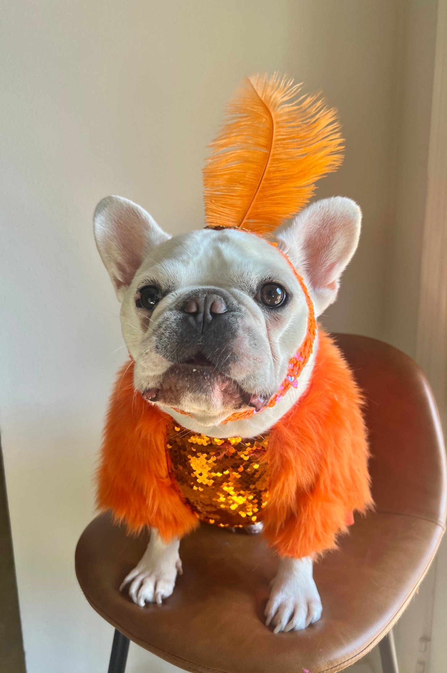 Life of Showgirl Orange Faux Fur Glamour Sequin Sweater