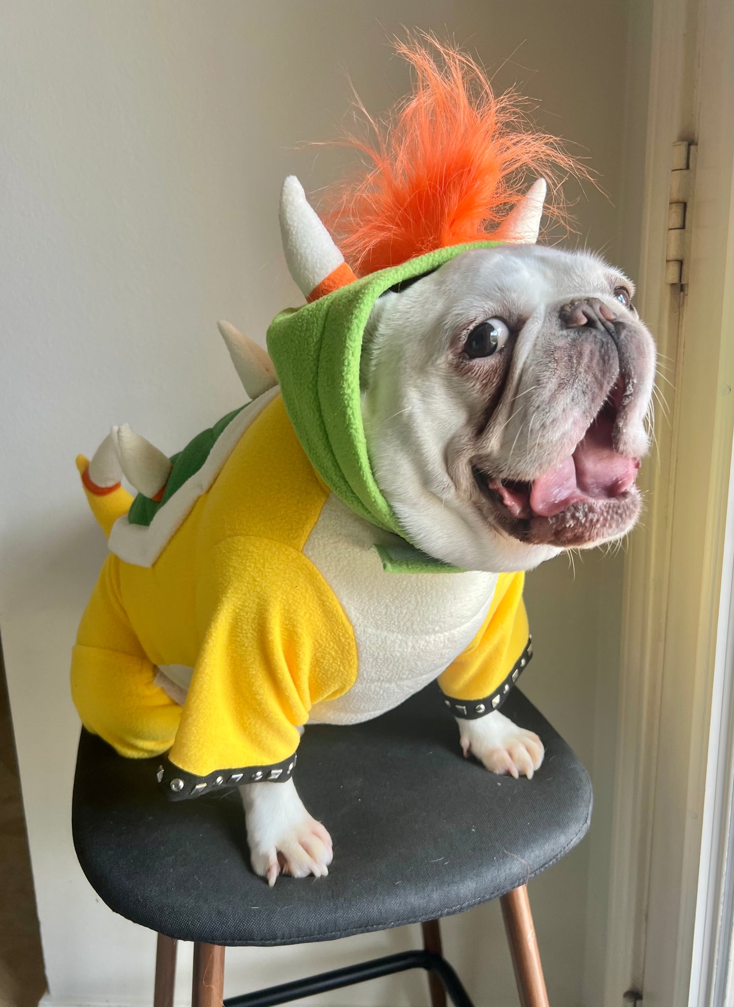 Bowser Turtle Dragon Pet Halloween Outfit Cosplay Costume