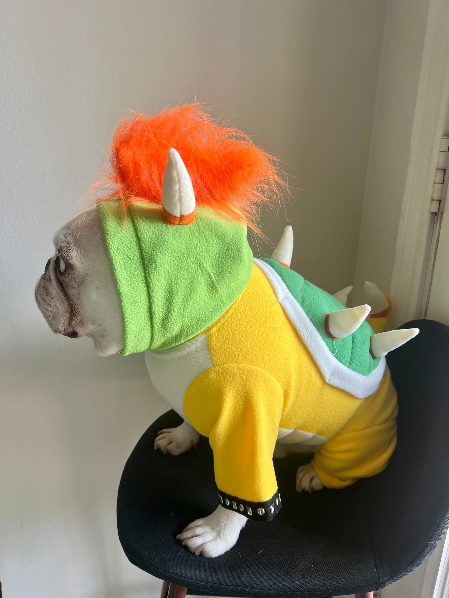 Bowser Turtle Dragon Pet Halloween Outfit Cosplay Costume