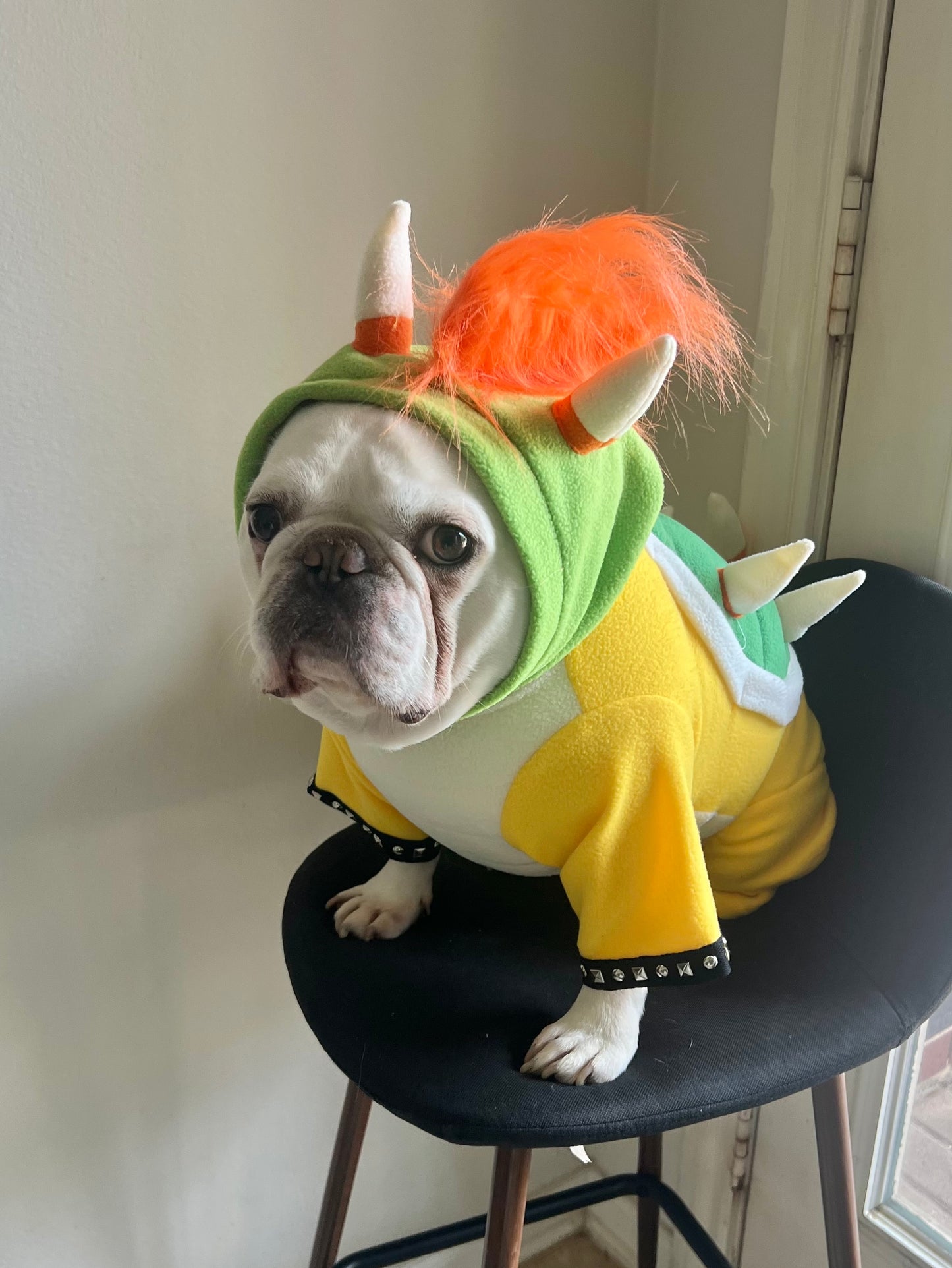 Bowser Turtle Dragon Pet Halloween Outfit Cosplay Costume