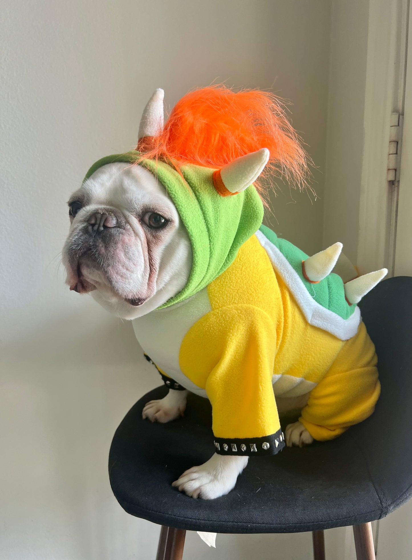 Bowser Turtle Dragon Pet Halloween Outfit Cosplay Costume