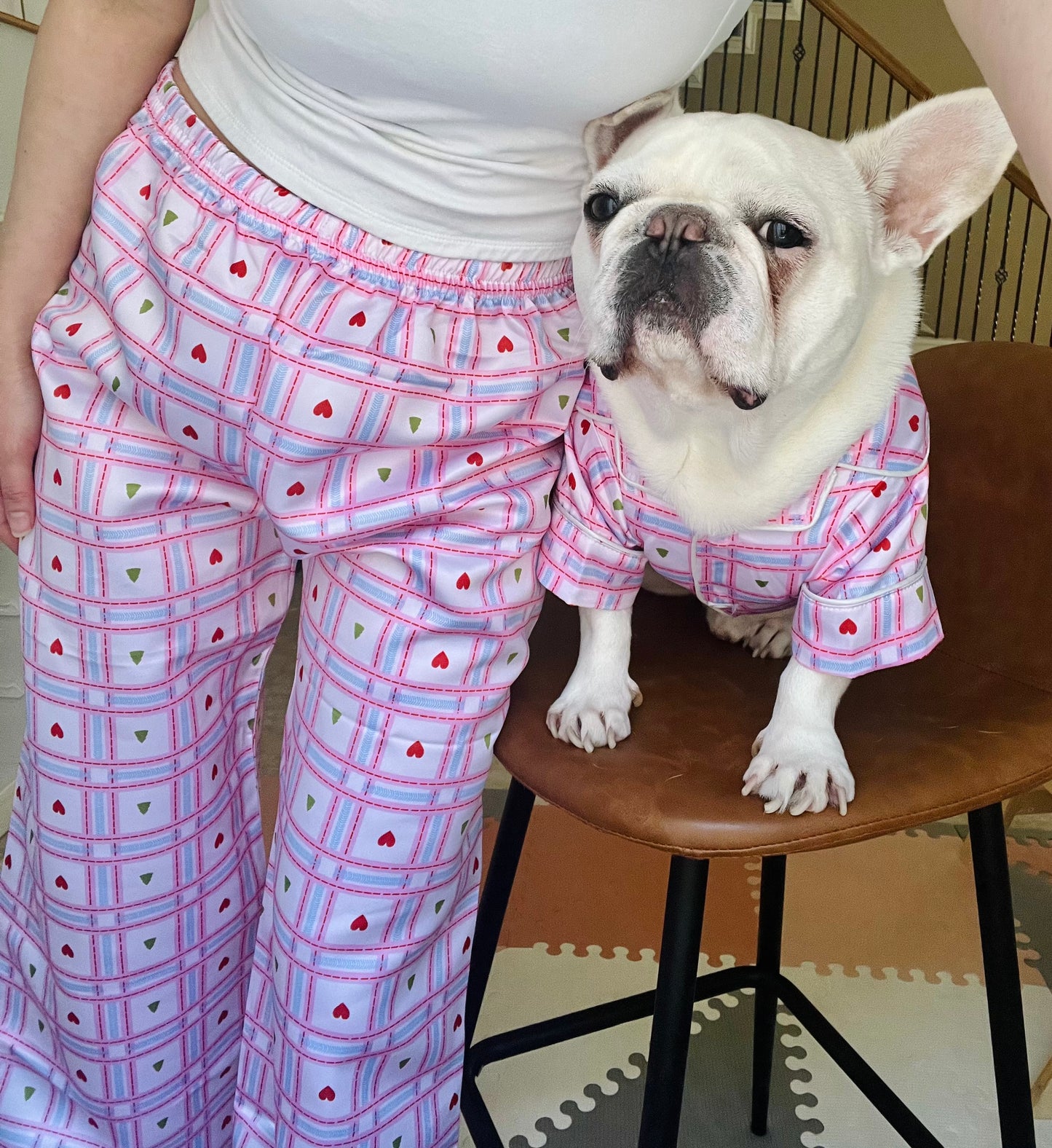 Sweet Heart Pet and Owner Family Matching Button Shirts