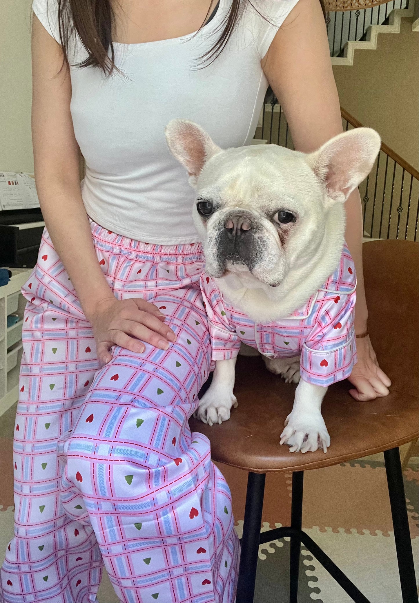 Sweet Heart Pet and Owner Family Matching Button Shirts
