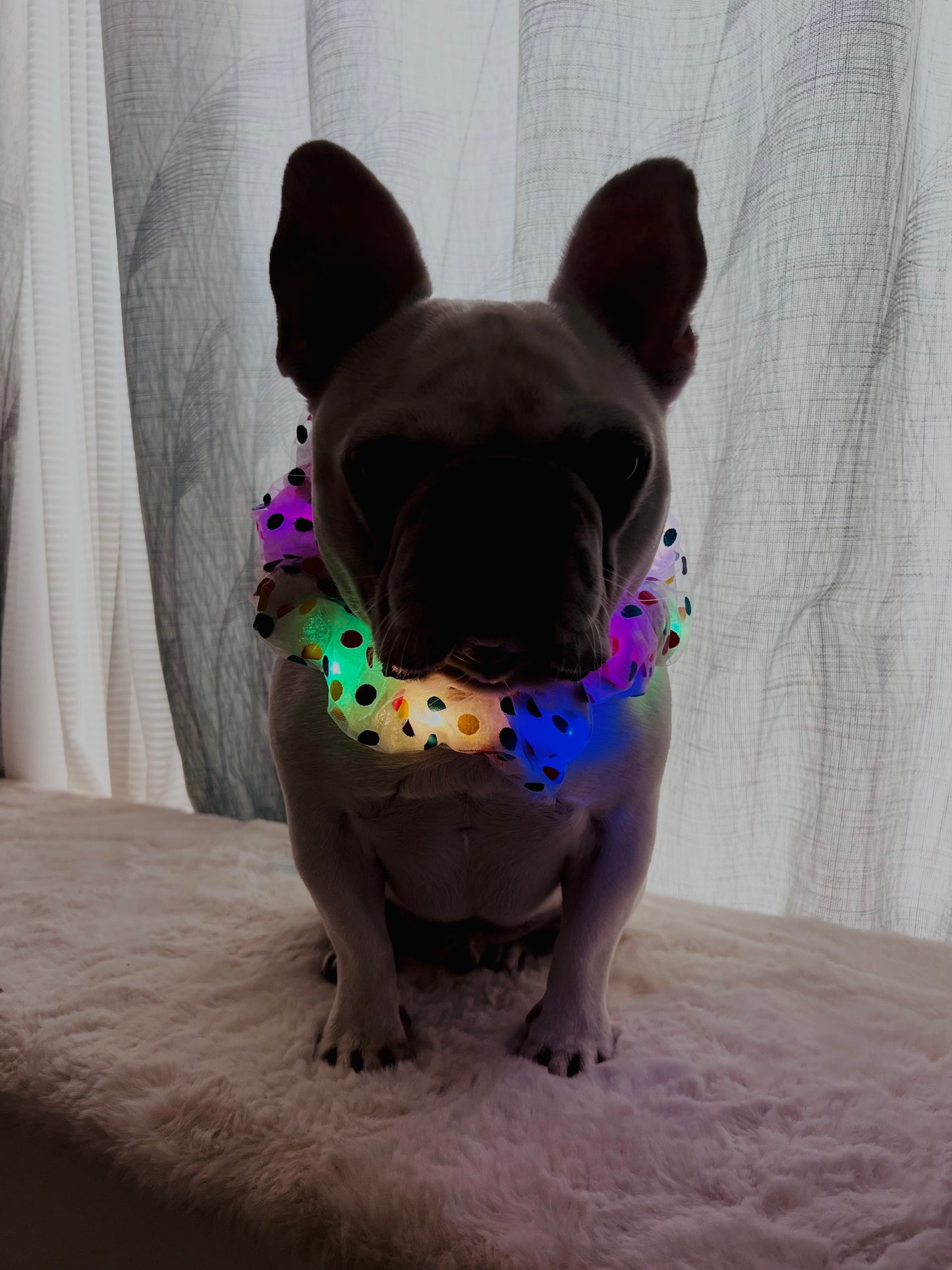 Colorful LED Glowing Neckband Bandana Collar