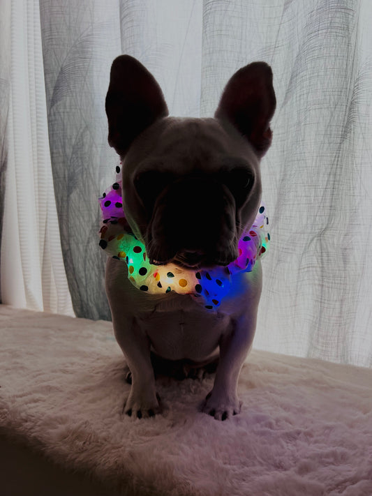 Colorful LED Glowing Neckband Bandana Collar