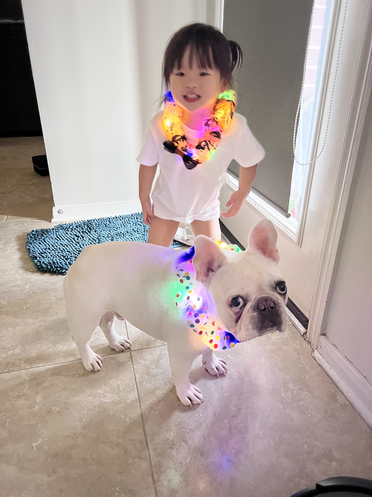 Halloween Colorful LED Glowing Neckband Bandana Collar