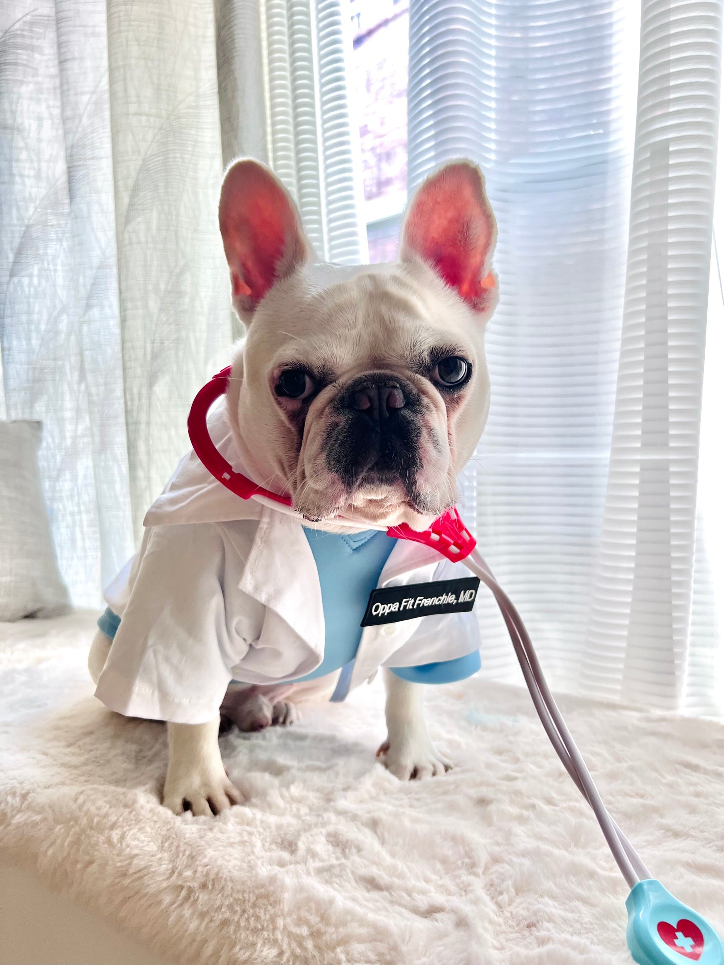 Doctor Nurse Scrub and Lab Coat