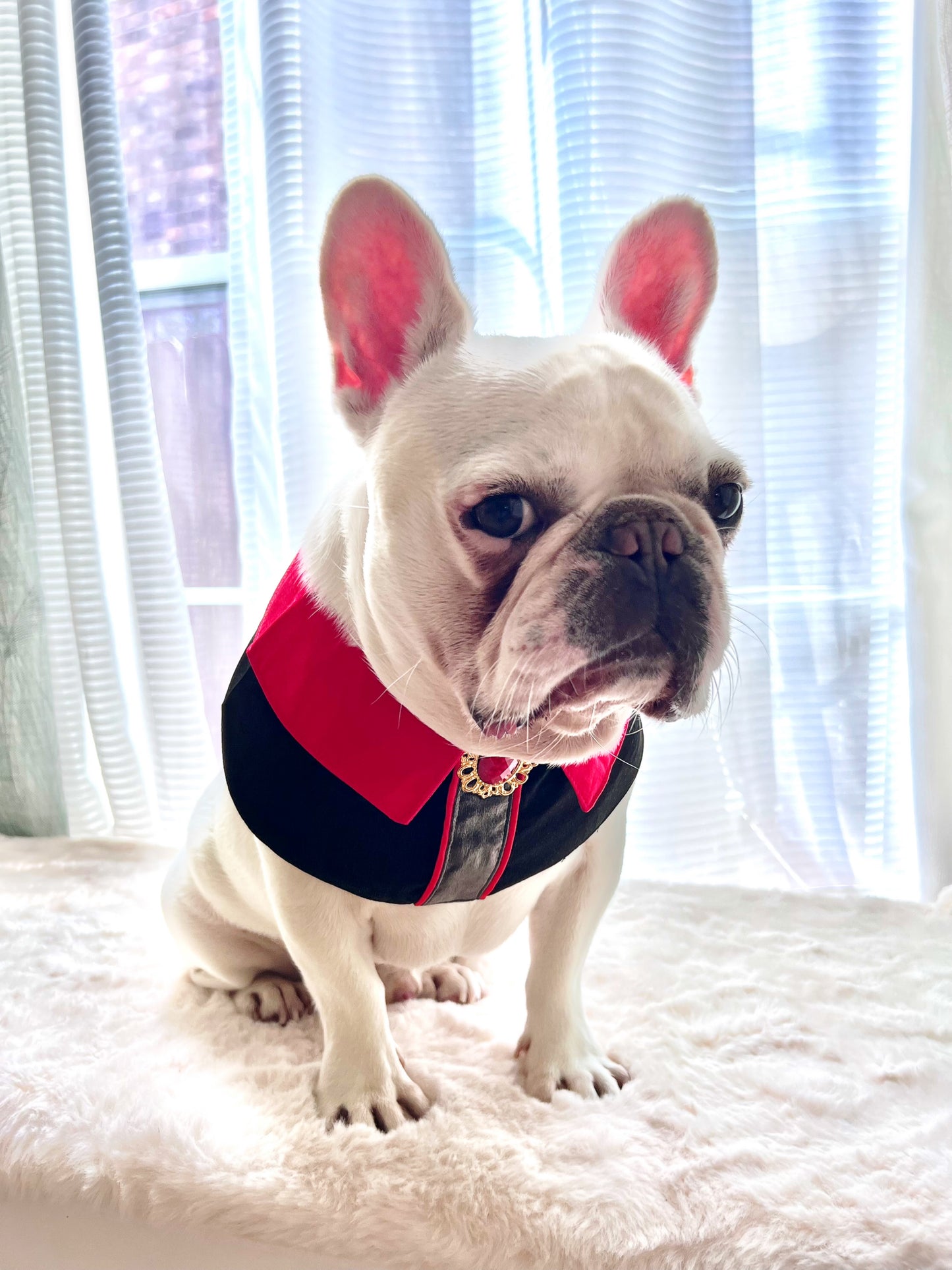 Vampire The Beast Collar Pet Bandana