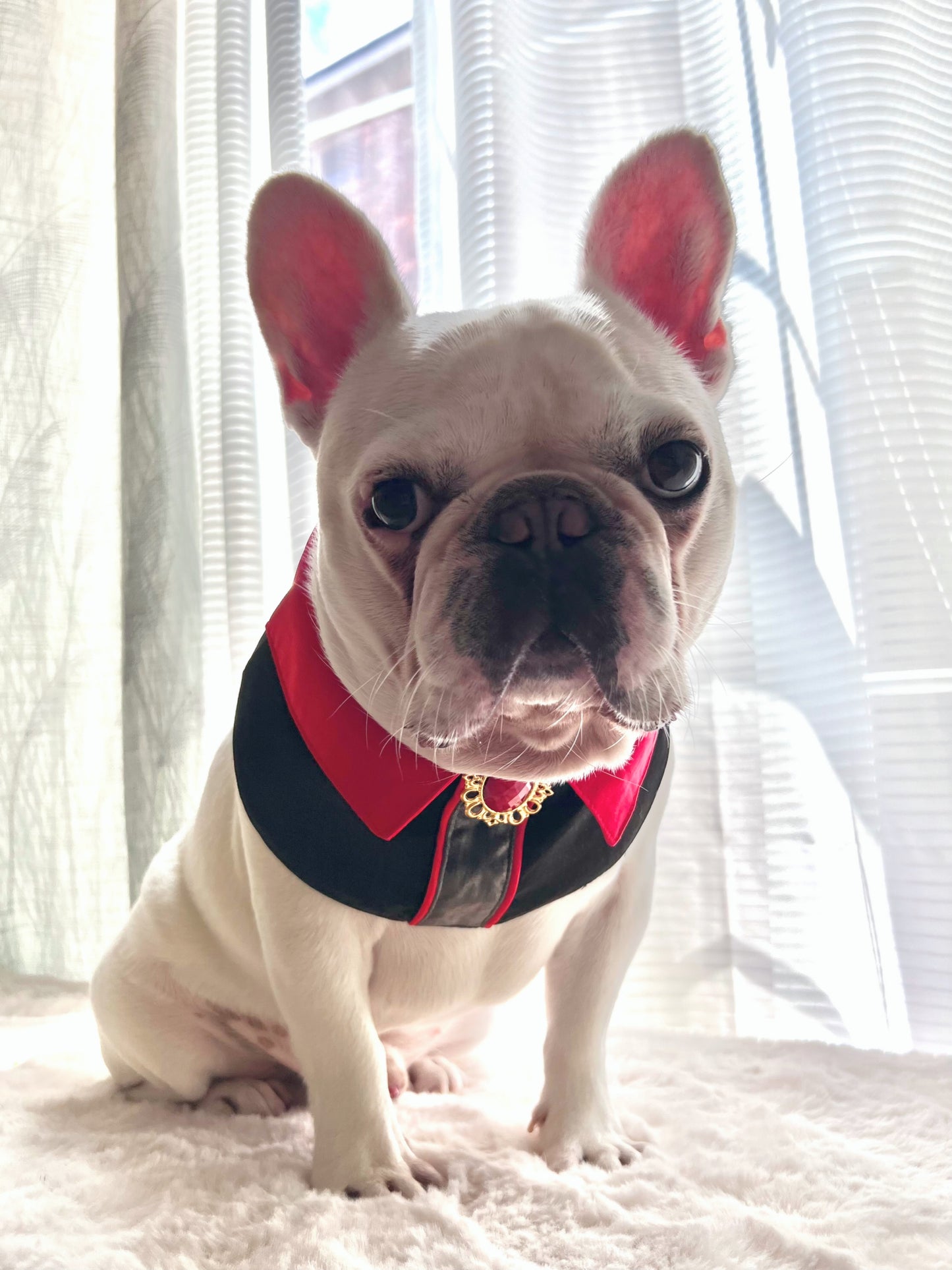 Vampire The Beast Collar Pet Bandana