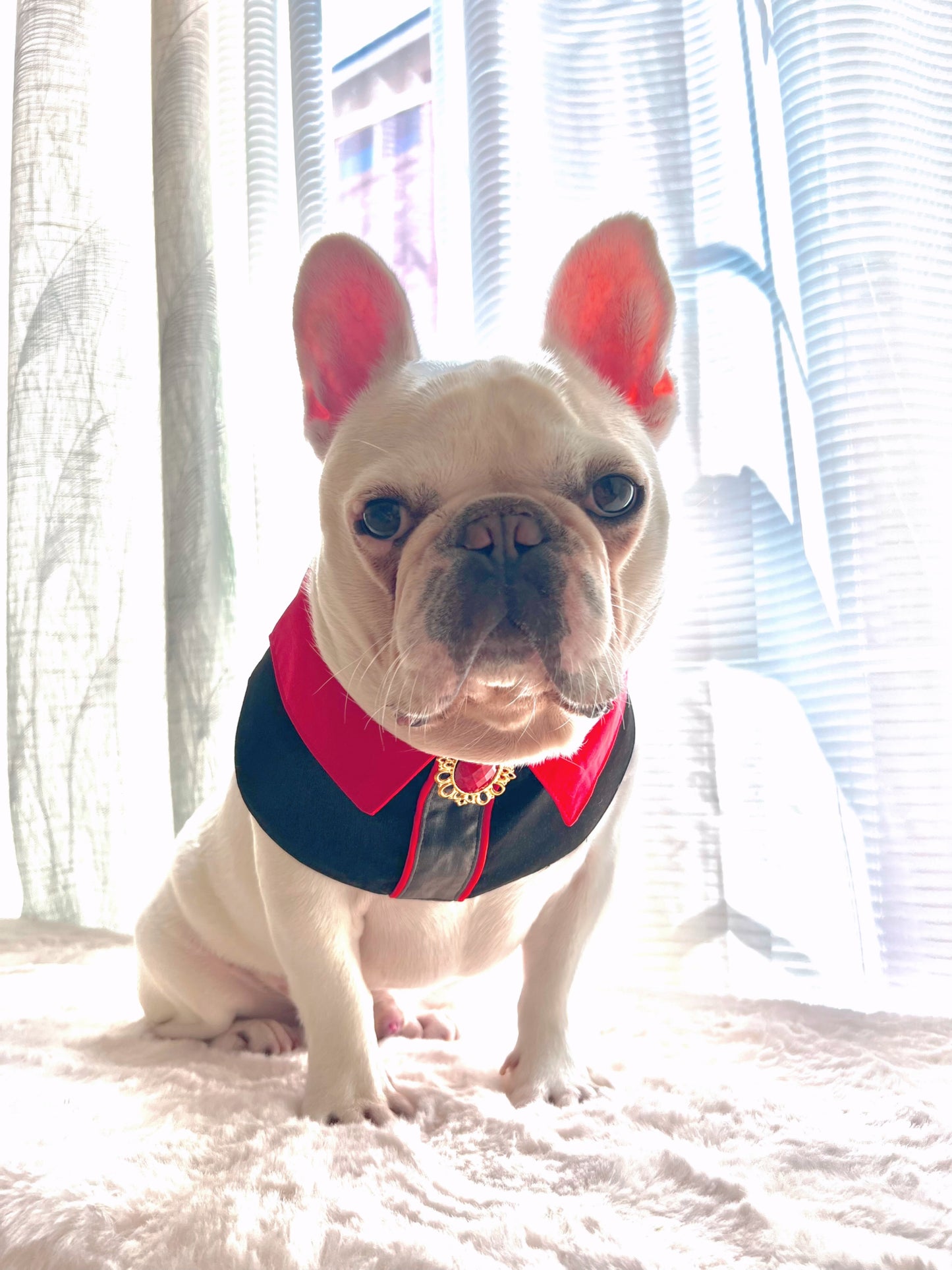 Vampire The Beast Collar Pet Bandana