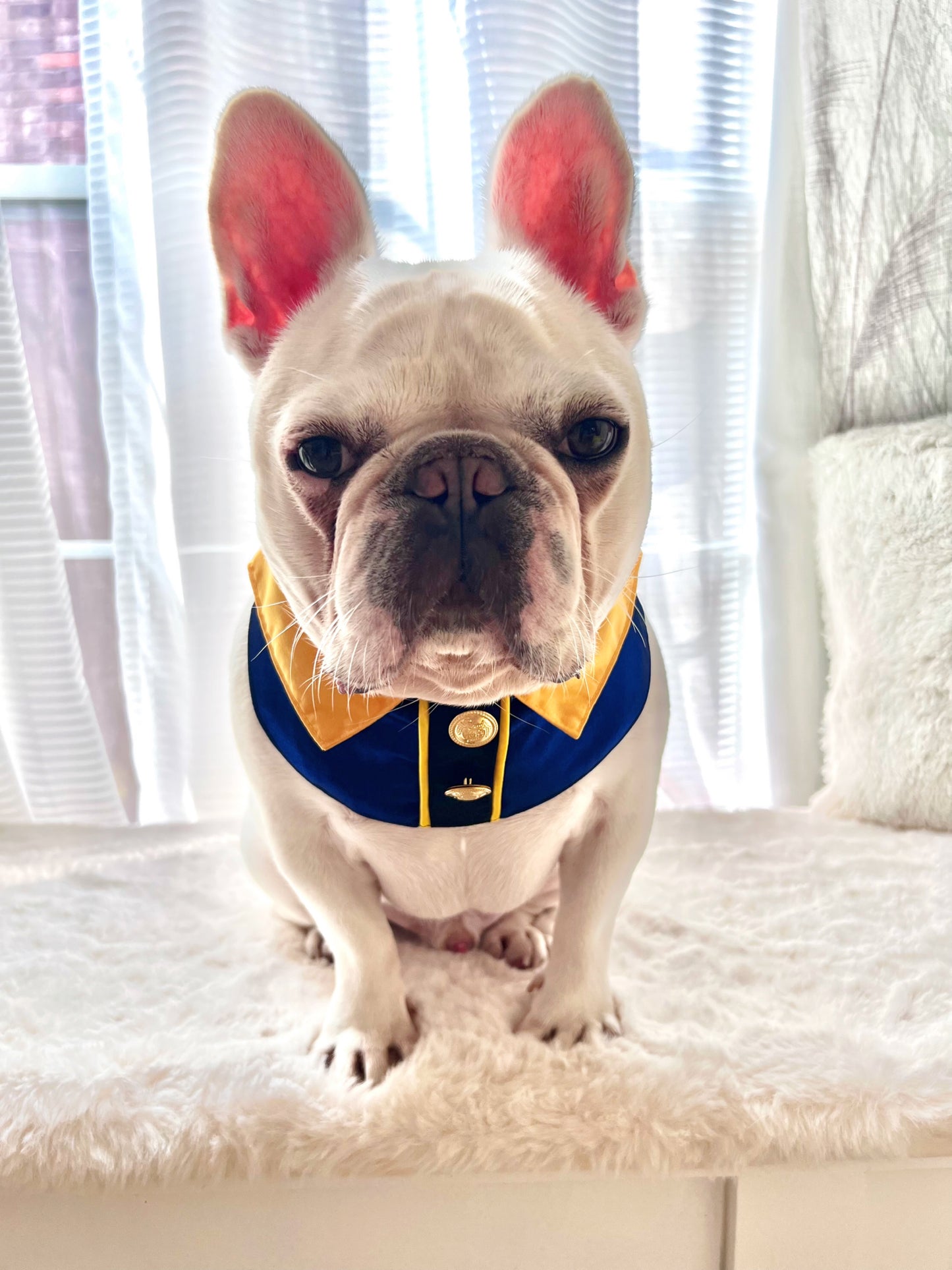 Vampire The Beast Collar Pet Bandana