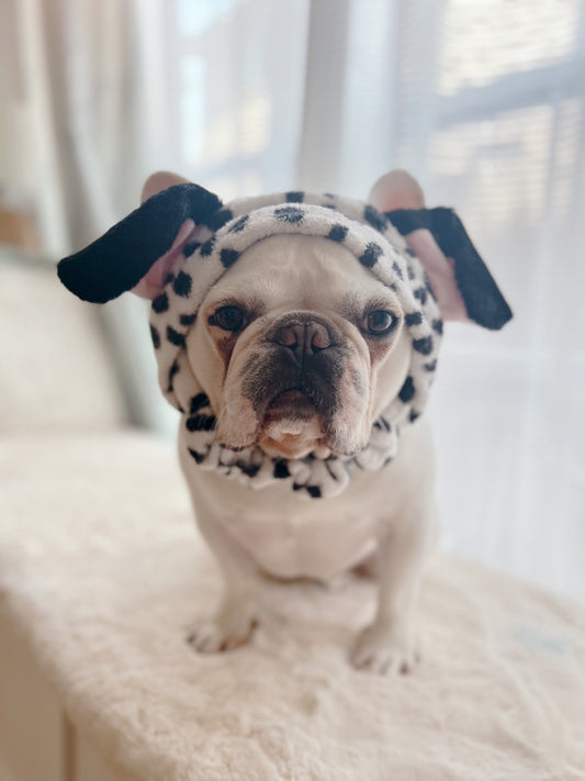 Cute Dalmatian Headband