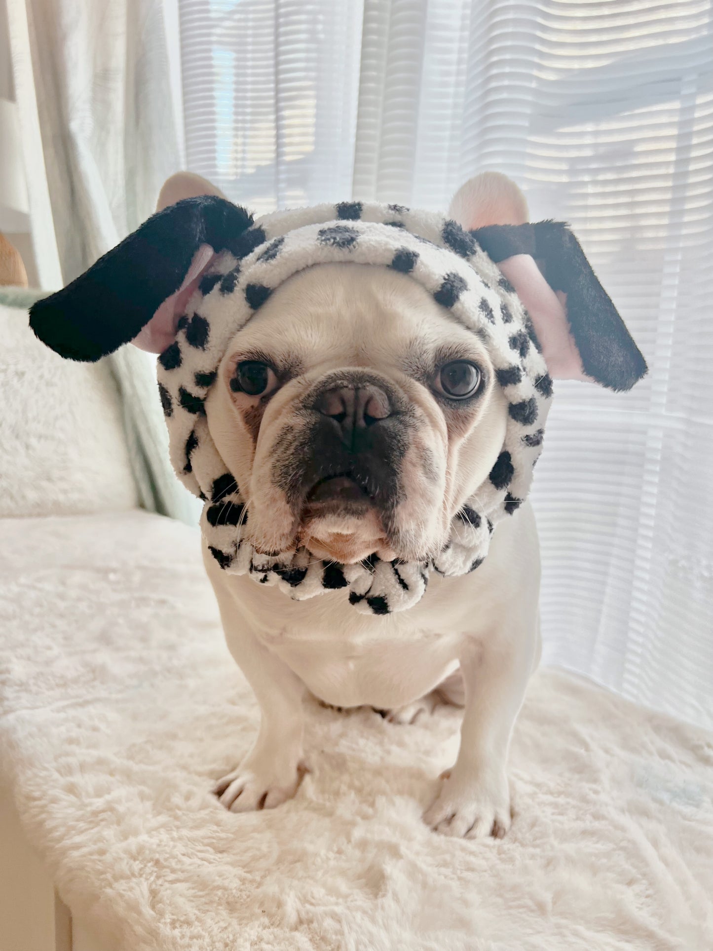 Cute Dalmatian Headband
