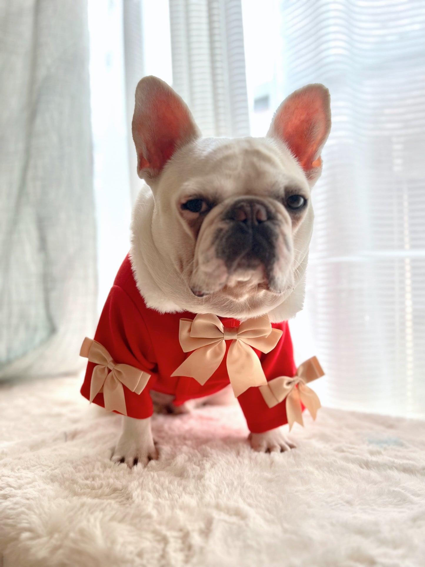 Holidays Red Coat with Ribbon