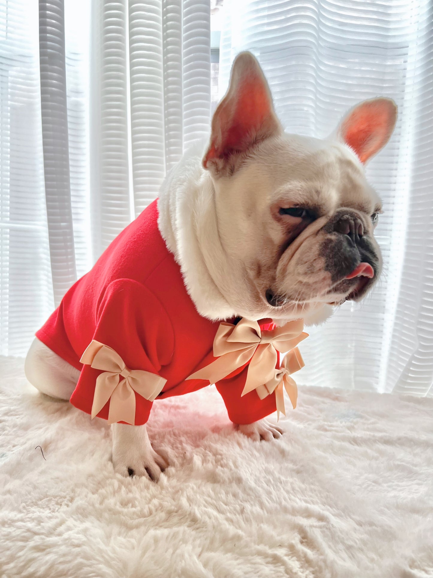 Holidays Red Coat with Ribbon