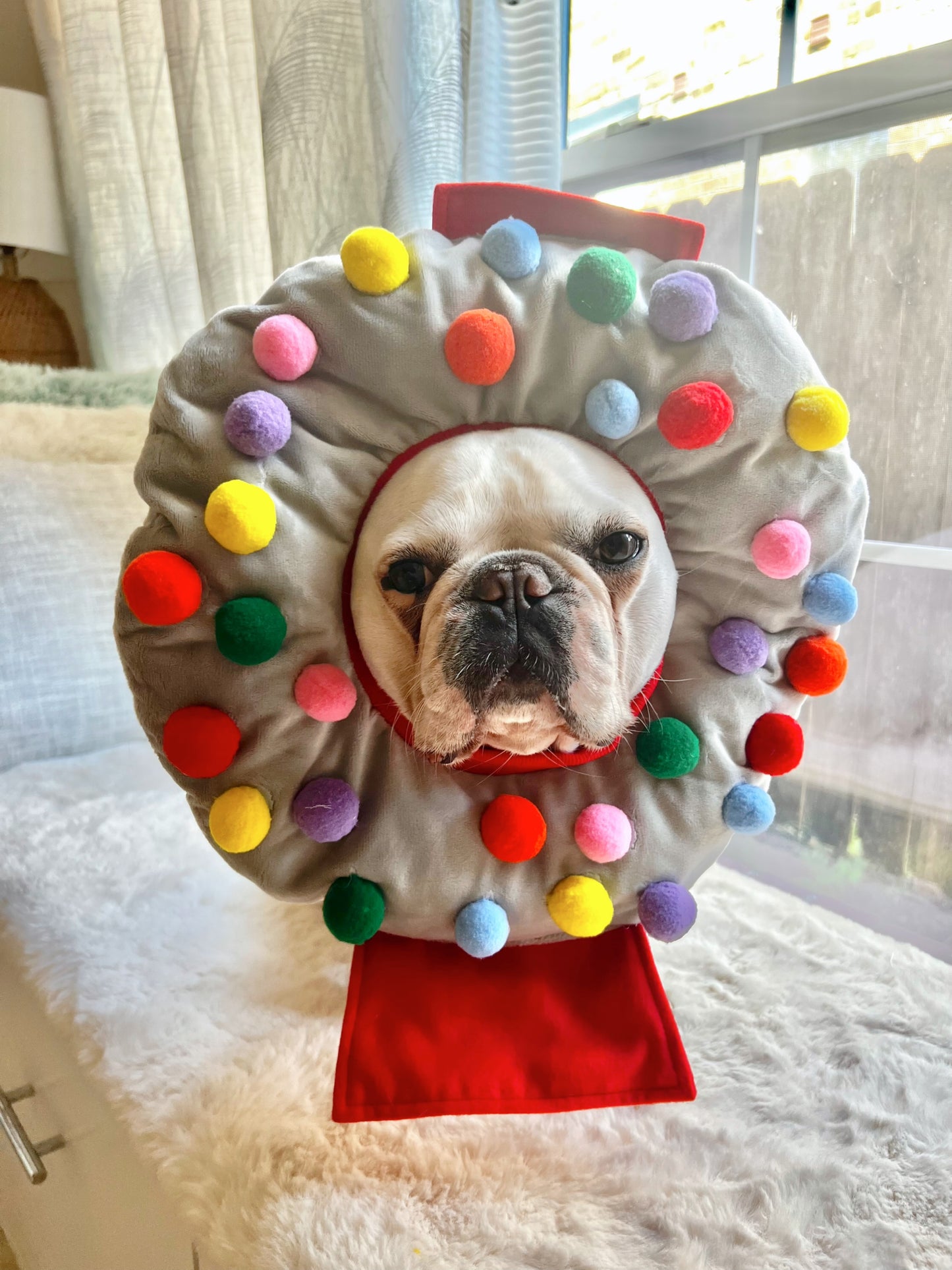 Gumball Machine Mascot Costume