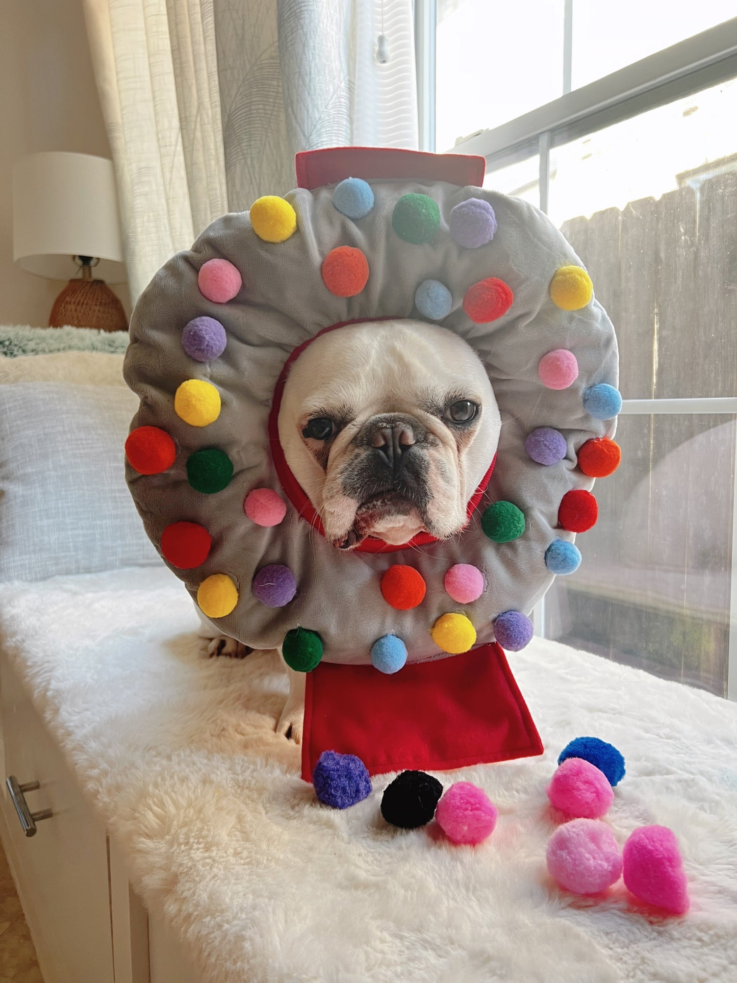 Gumball Machine Mascot Costume