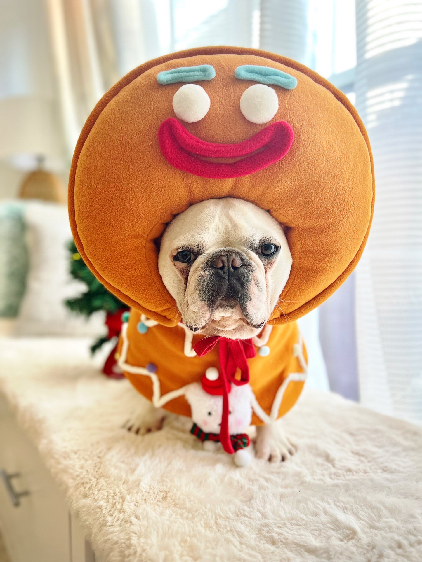 Christmas Gingerbread Man Costume