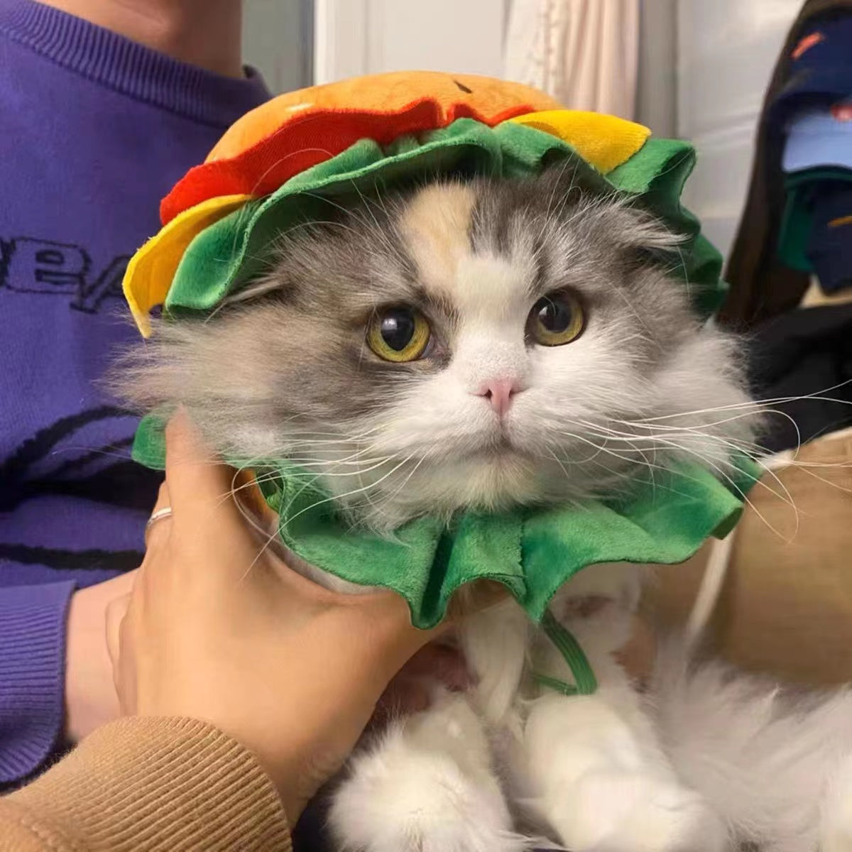 Burger Mascot Costume