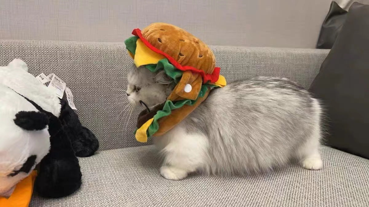 Burger Mascot Costume