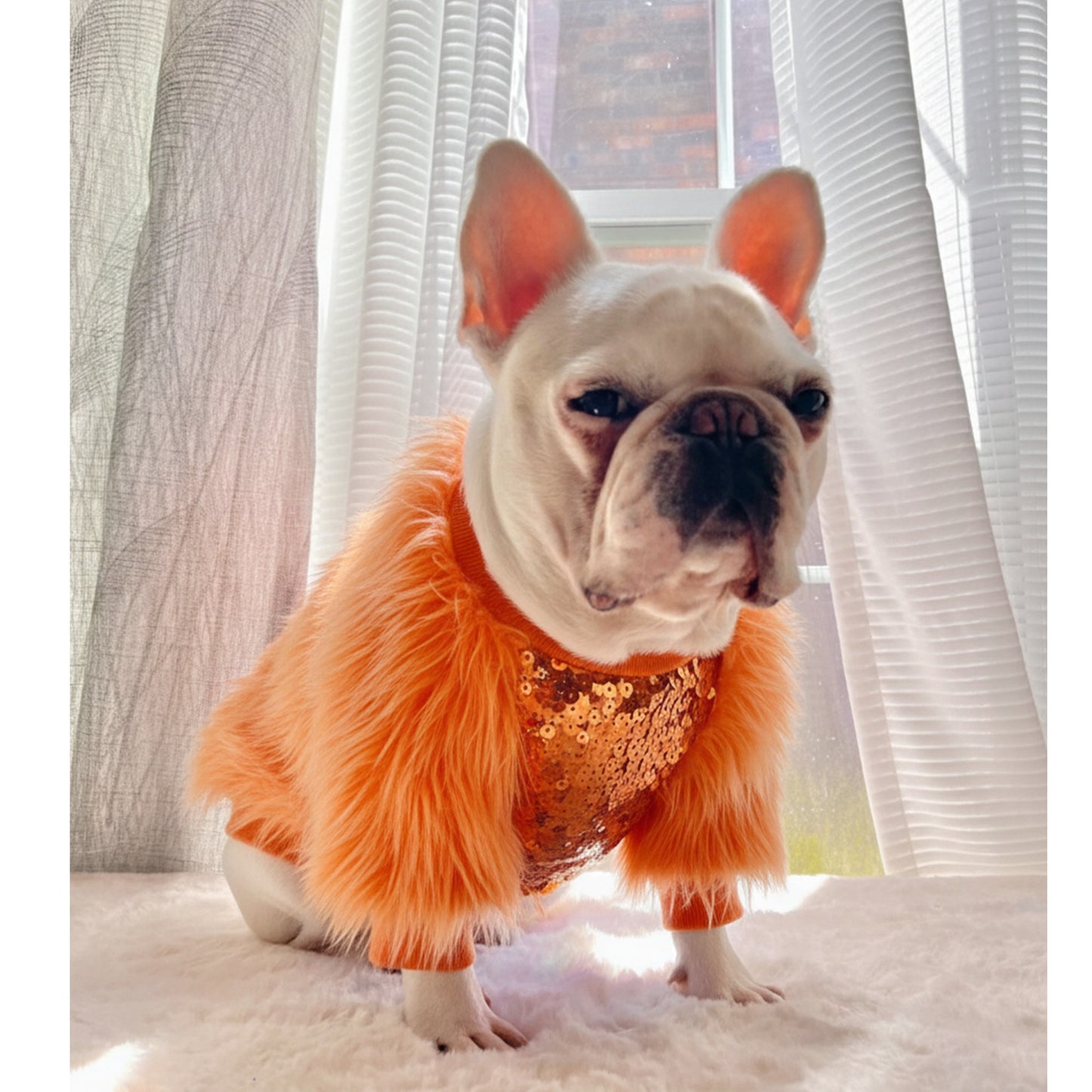 Life of Showgirl Orange Faux Fur Glamour Sequin Sweater